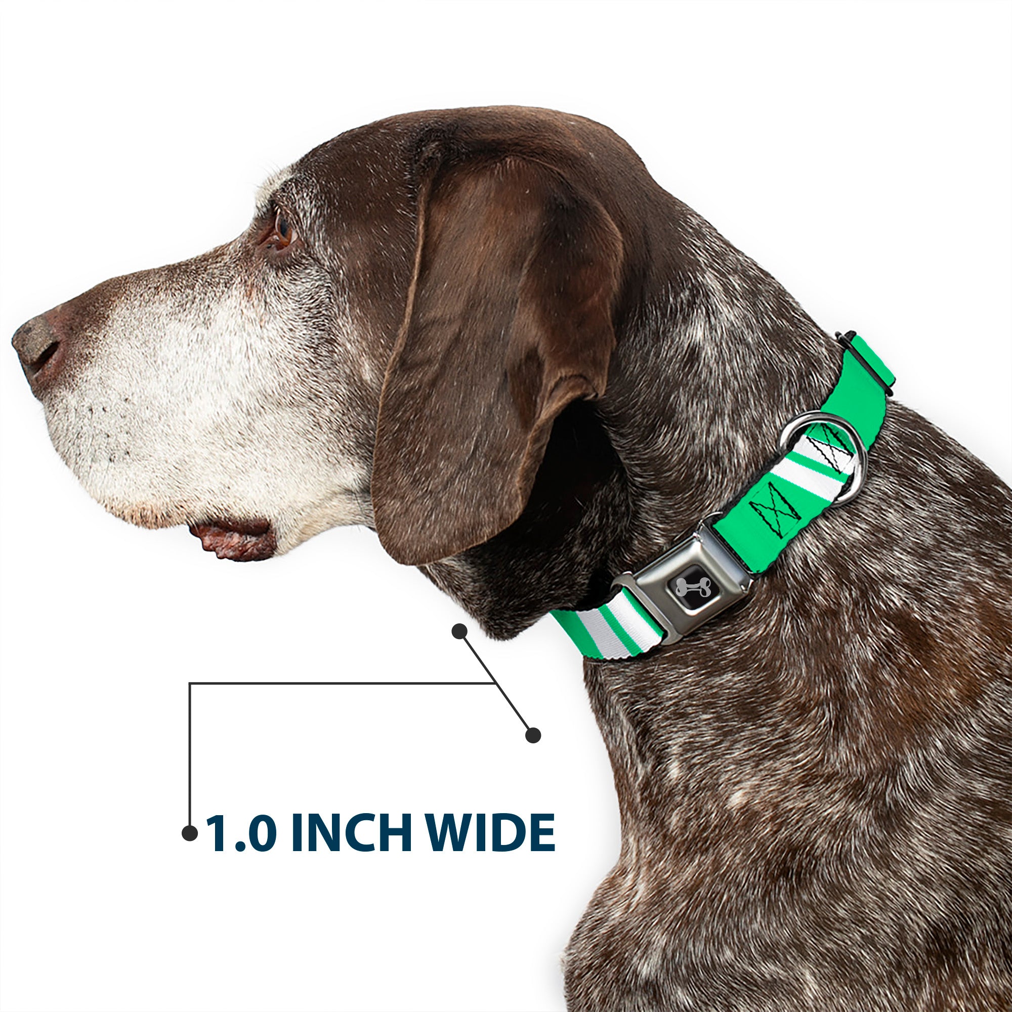 Dog Bone Seatbelt Buckle Collar - Hash Mark Stripe Double Green/Silver Seatbelt Buckle Collars Buckle-Down
