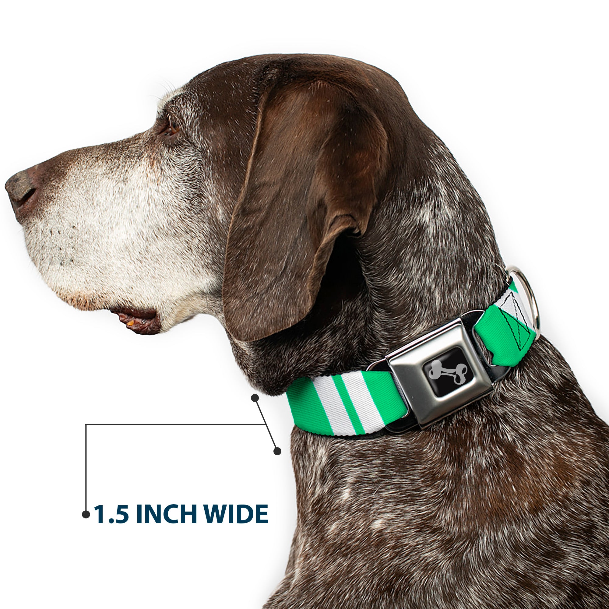 Dog Bone Seatbelt Buckle Collar - Hash Mark Stripe Double Green/Silver Seatbelt Buckle Collars Buckle-Down