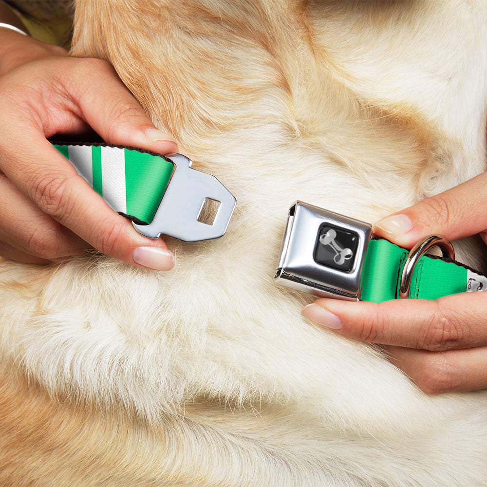 Dog Bone Seatbelt Buckle Collar - Hash Mark Stripe Double Green/Silver Seatbelt Buckle Collars Buckle-Down