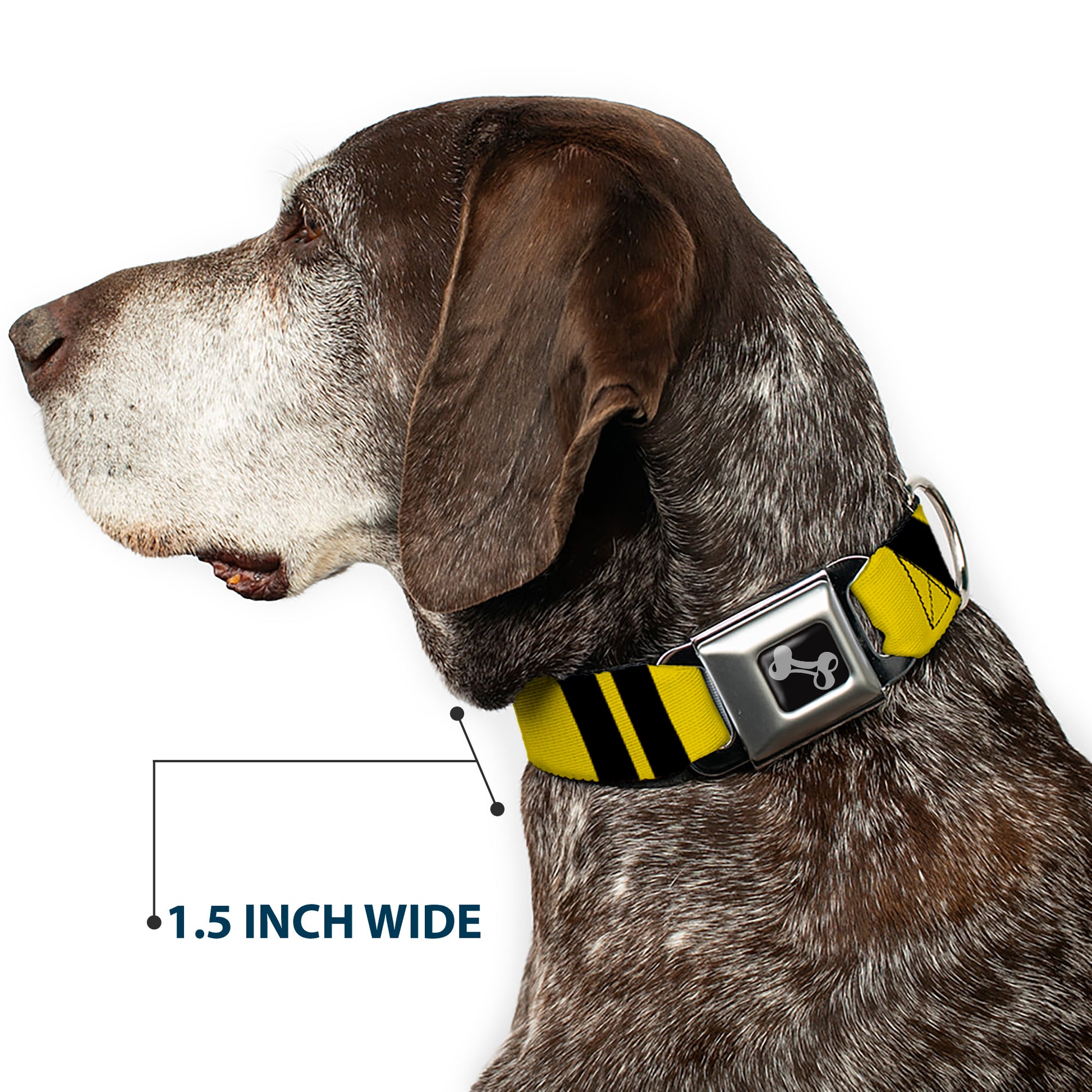 Dog Bone Seatbelt Buckle Collar - Hash Mark Stripe Double Gold/Black Seatbelt Buckle Collars Buckle-Down