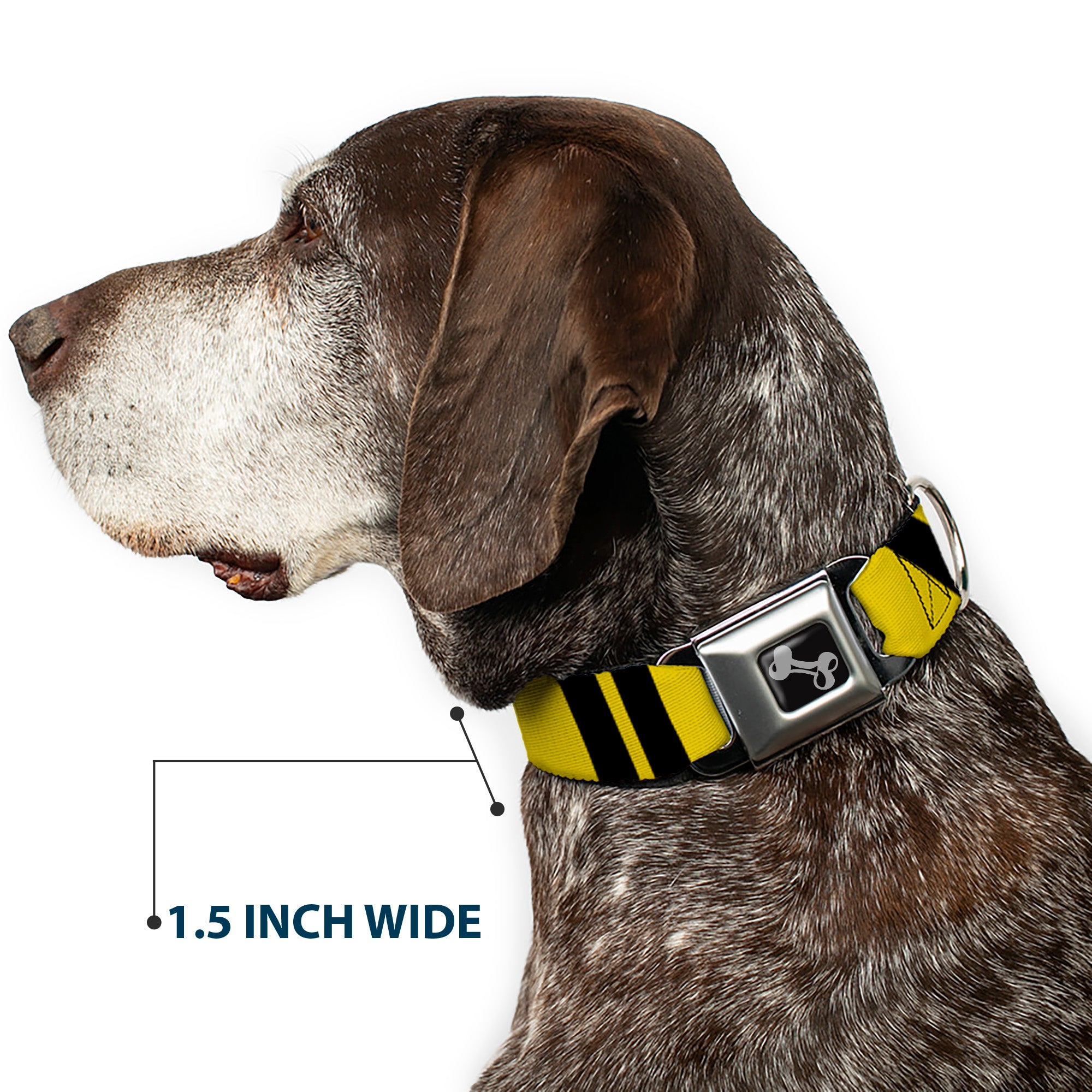 Dog Bone Seatbelt Buckle Collar - Hash Mark Stripe Double Gold/Black Seatbelt Buckle Collars Buckle-Down