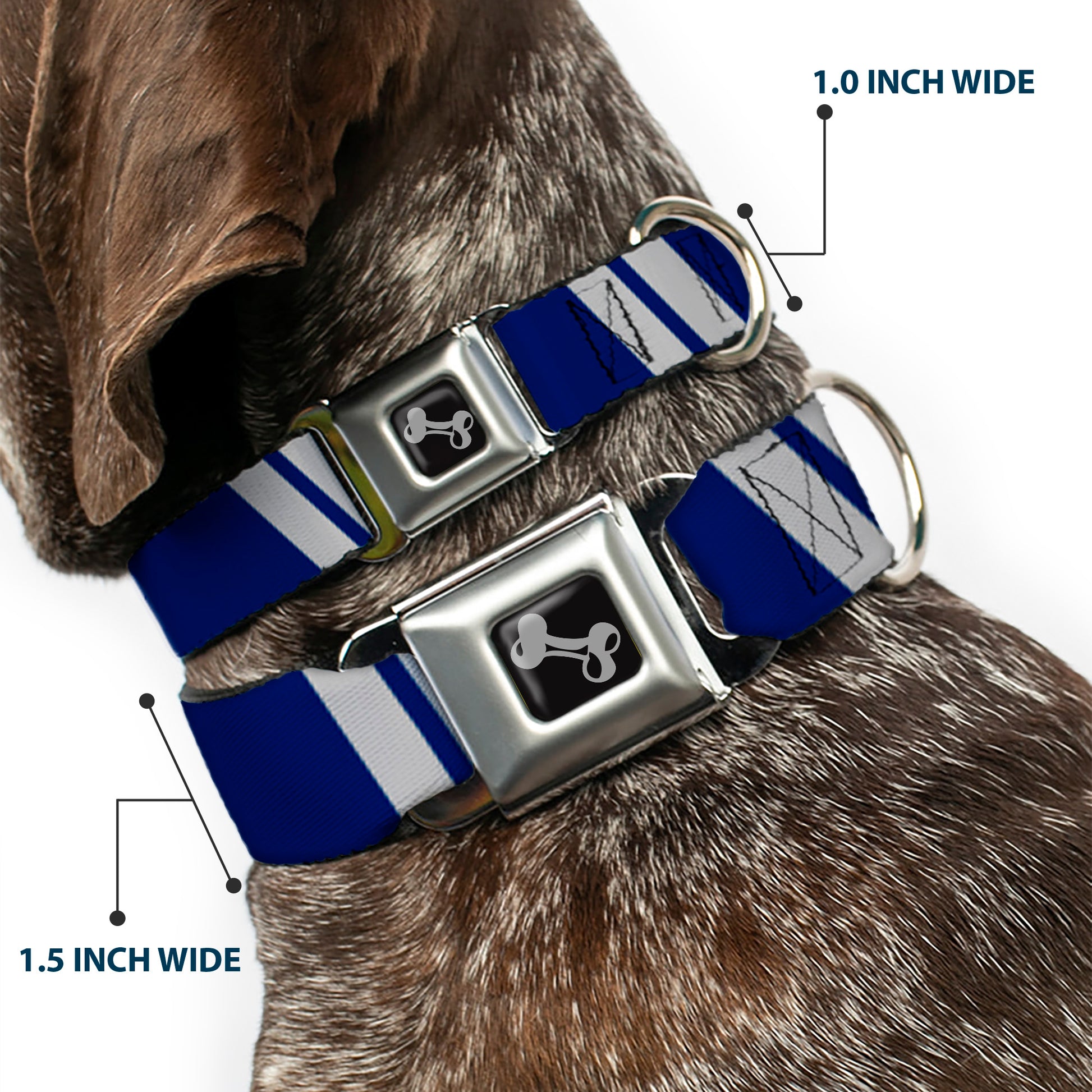 Dog Bone Seatbelt Buckle Collar - Hash Mark Stripe Double Navy/Silver Seatbelt Buckle Collars Buckle-Down