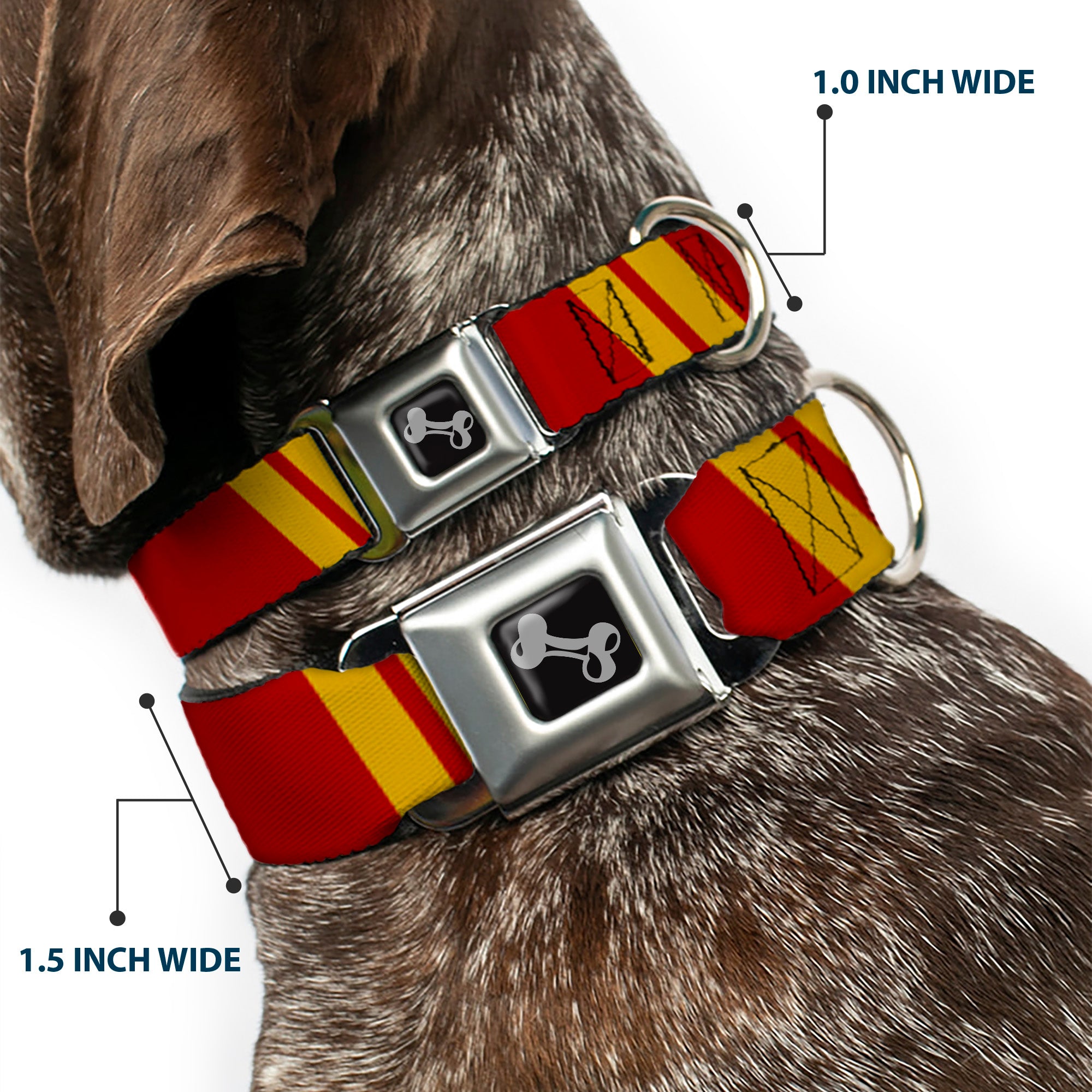 Dog Bone Seatbelt Buckle Collar - Hash Mark Stripe Double Maroon/Gold Seatbelt Buckle Collars Buckle-Down