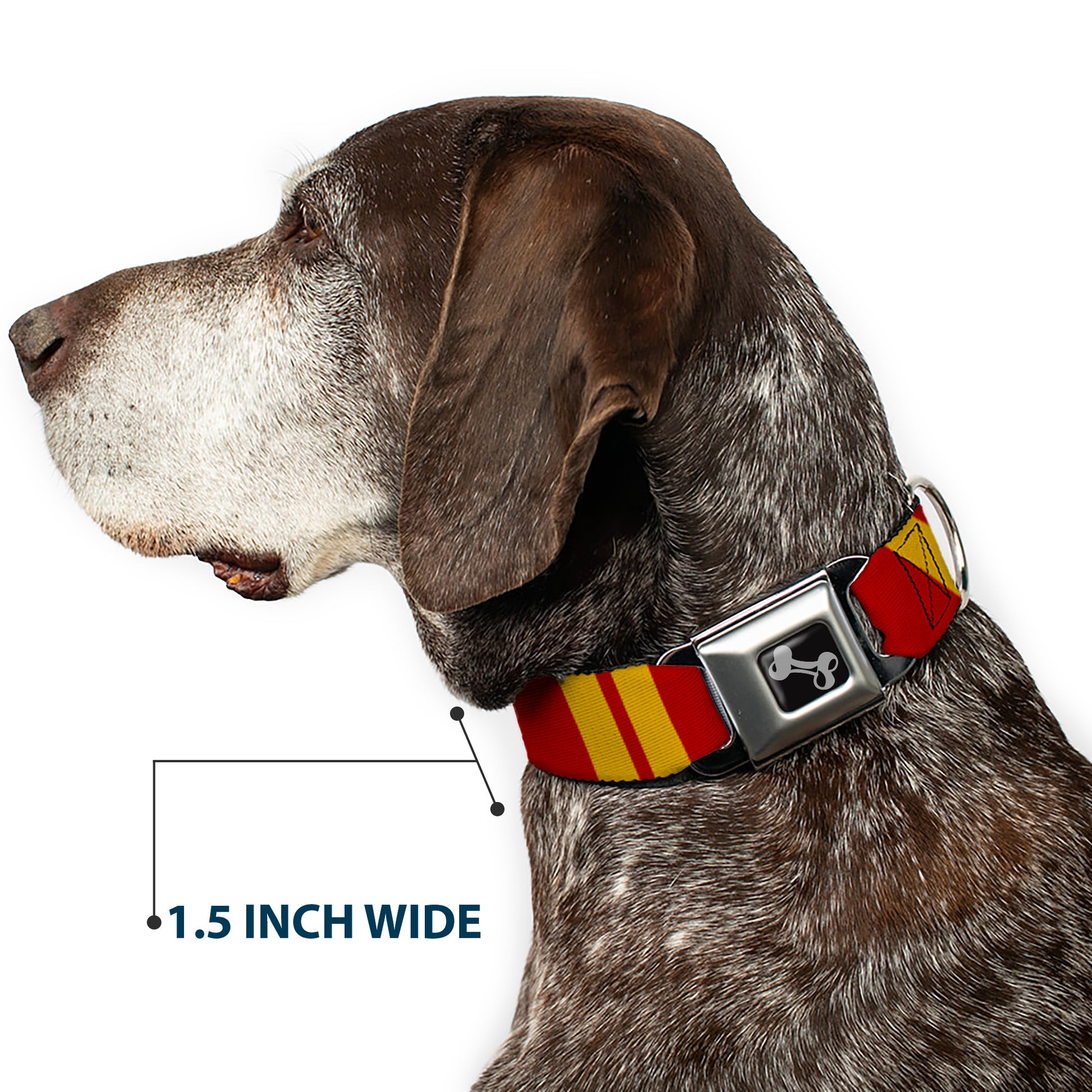 Dog Bone Seatbelt Buckle Collar - Hash Mark Stripe Double Maroon/Gold Seatbelt Buckle Collars Buckle-Down