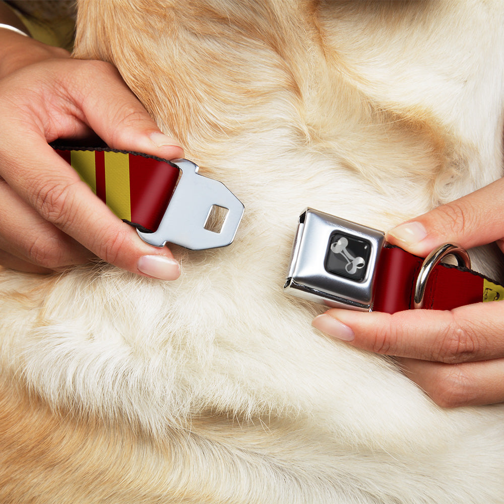 Dog Bone Seatbelt Buckle Collar - Hash Mark Stripe Double Maroon/Gold Seatbelt Buckle Collars Buckle-Down