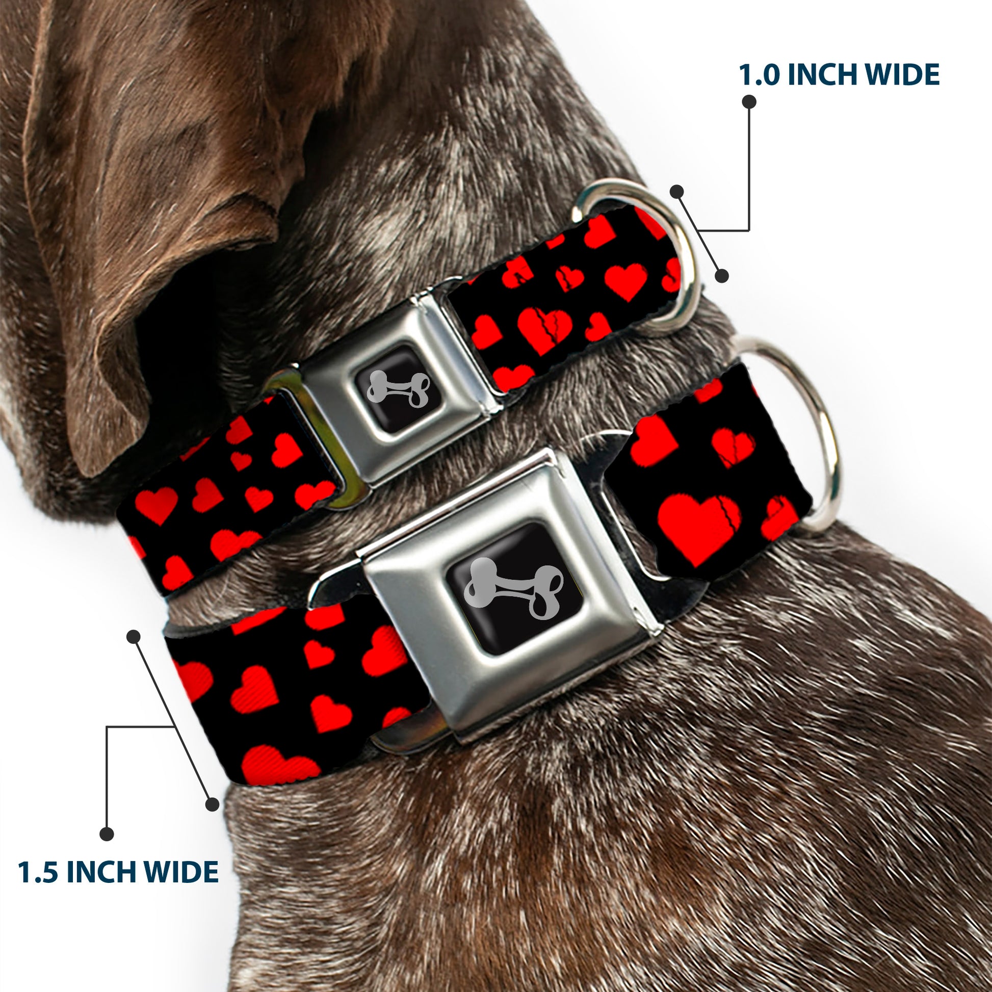 Dog Bone Seatbelt Buckle Collar - Hearts Scattered Black/Red Seatbelt Buckle Collars Buckle-Down