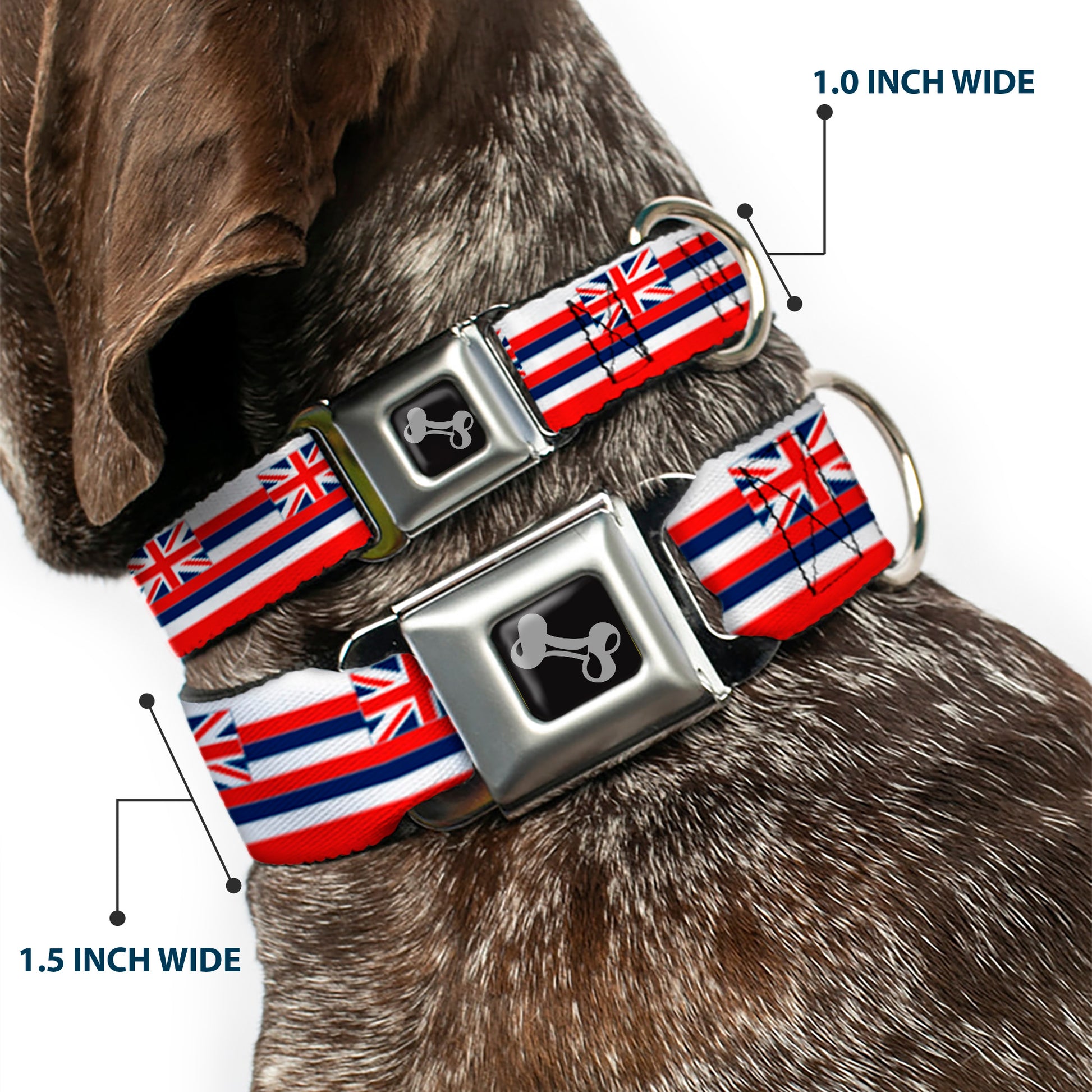 Dog Bone Black/Silver Seatbelt Buckle Collar - Hawaii Flag Continuous Repeat Seatbelt Buckle Collars Buckle-Down