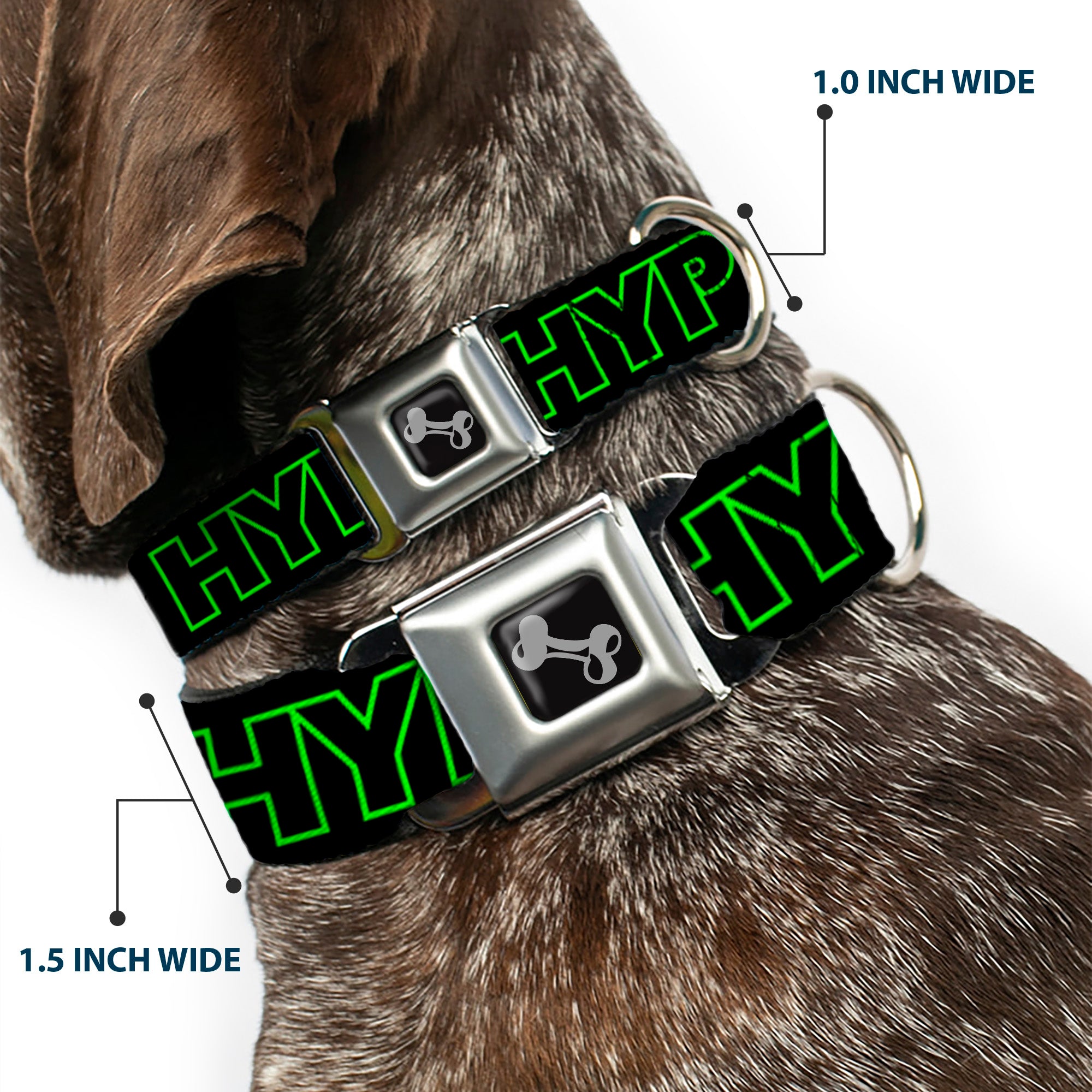 Dog Bone Black/Silver Seatbelt Buckle Collar - HYPE Outline Black/Neon Green Seatbelt Buckle Collars Buckle-Down