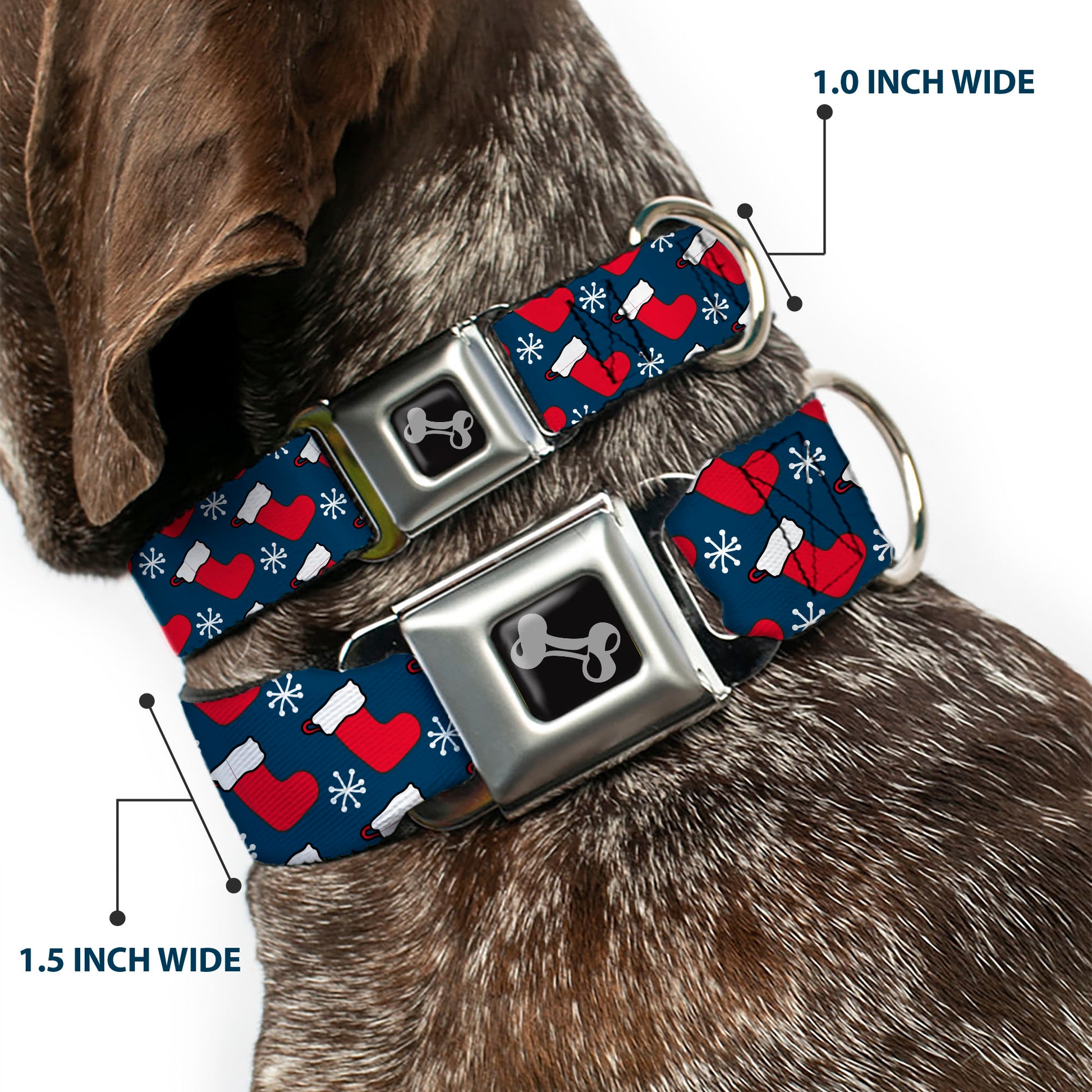 Dog Bone Black/Silver Seatbelt Buckle Collar - Holiday Christmas Stocking and Snowflake Blue/WhiteRed Seatbelt Buckle Collars Buckle-Down