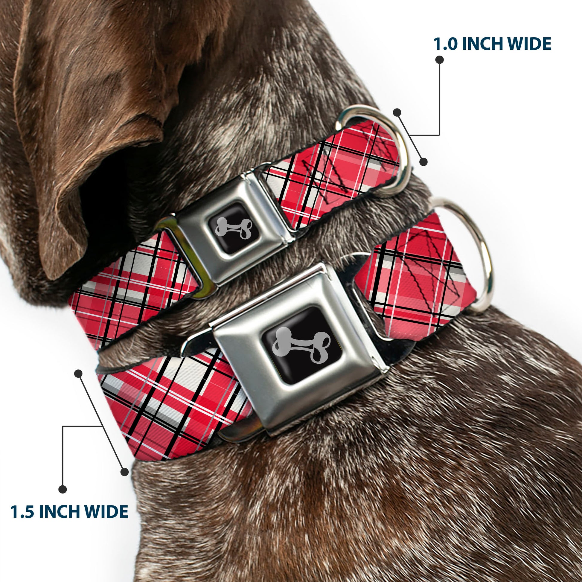 Dog Bone Black/Silver Seatbelt Buckle Collar - Holiday Christmas Plaid Diagonal White/Red/Black Seatbelt Buckle Collars Buckle-Down