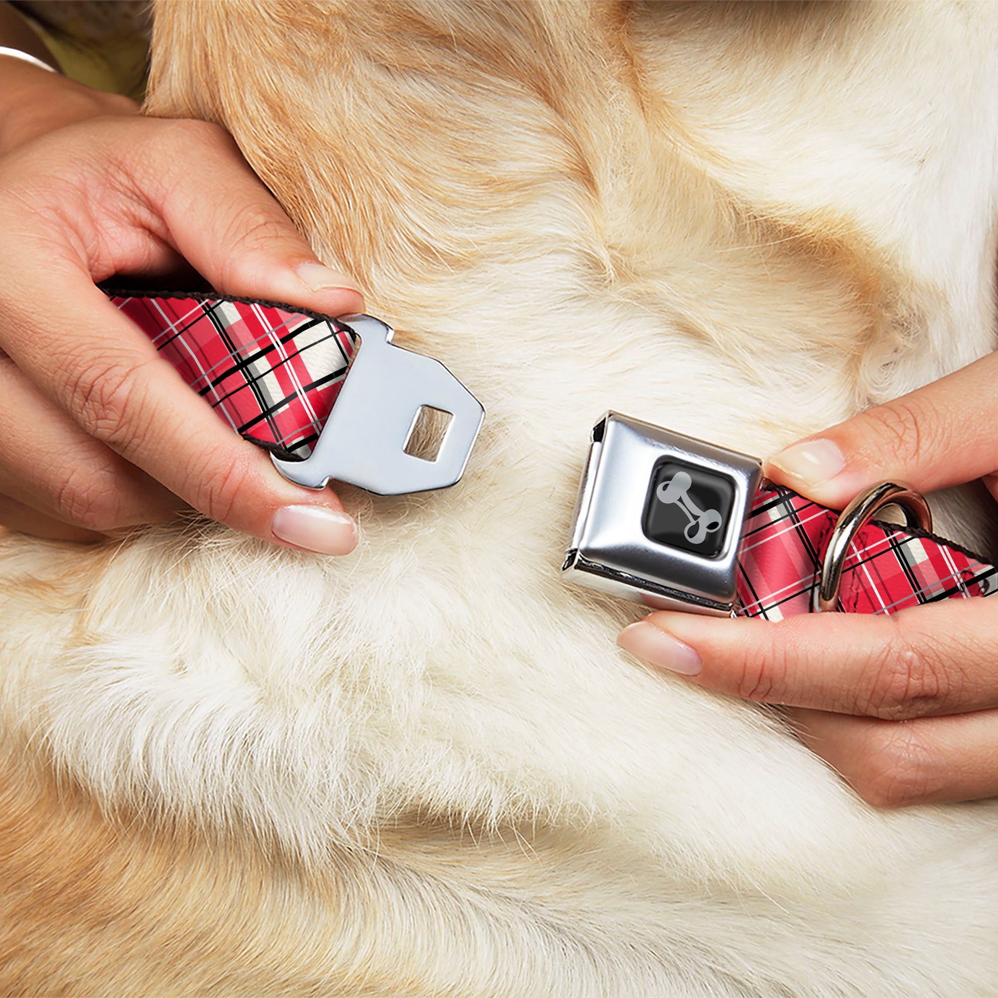 Dog Bone Black/Silver Seatbelt Buckle Collar - Holiday Christmas Plaid Diagonal White/Red/Black Seatbelt Buckle Collars Buckle-Down