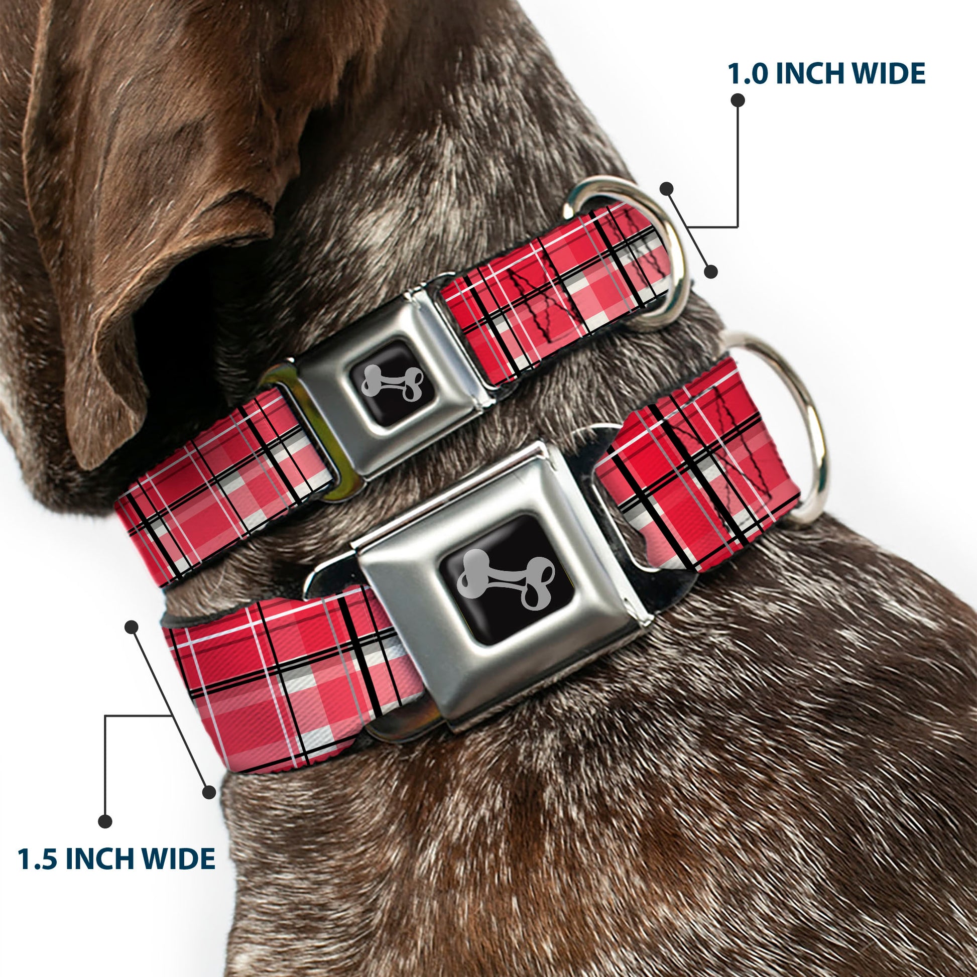 Dog Bone Black/Silver Seatbelt Buckle Collar - Holiday Christmas Plaid Red/White/Black Seatbelt Buckle Collars Buckle-Down