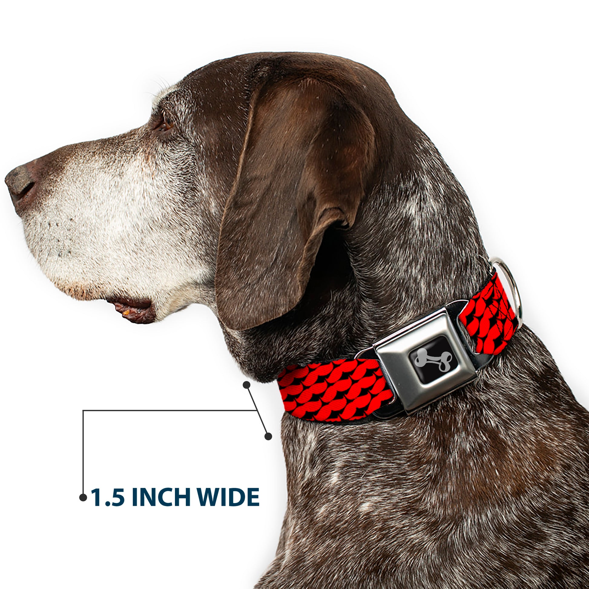 Dog Bone Seatbelt Buckle Collar - Mustache Monogram Black/Red Seatbelt Buckle Collars Buckle-Down