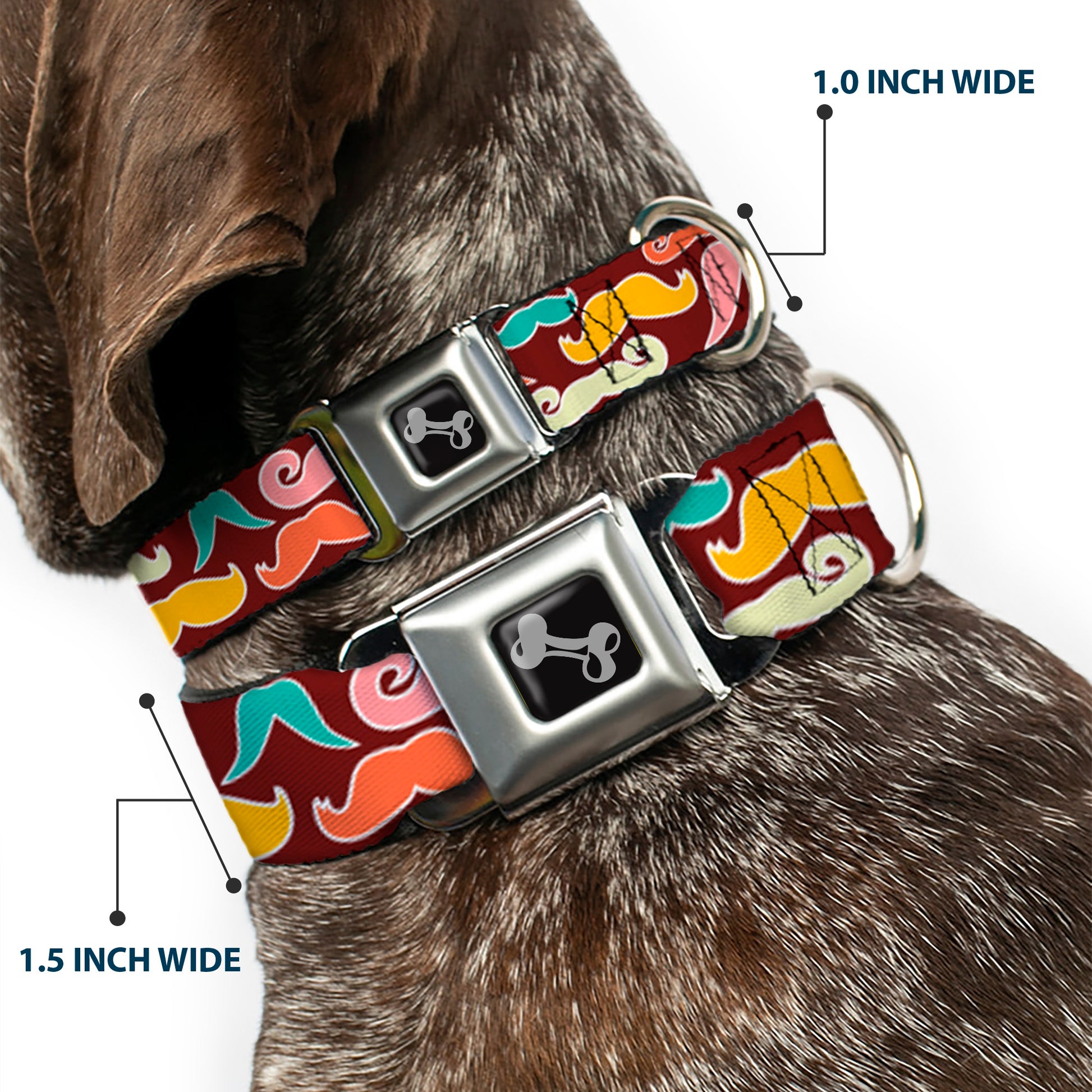 Dog Bone Seatbelt Buckle Collar - Mustaches Brown/Multi Pastel Seatbelt Buckle Collars Buckle-Down