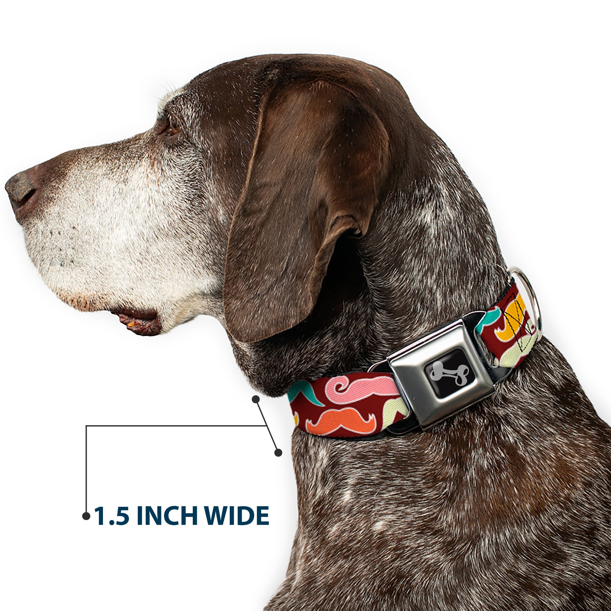 Dog Bone Seatbelt Buckle Collar - Mustaches Brown/Multi Pastel Seatbelt Buckle Collars Buckle-Down
