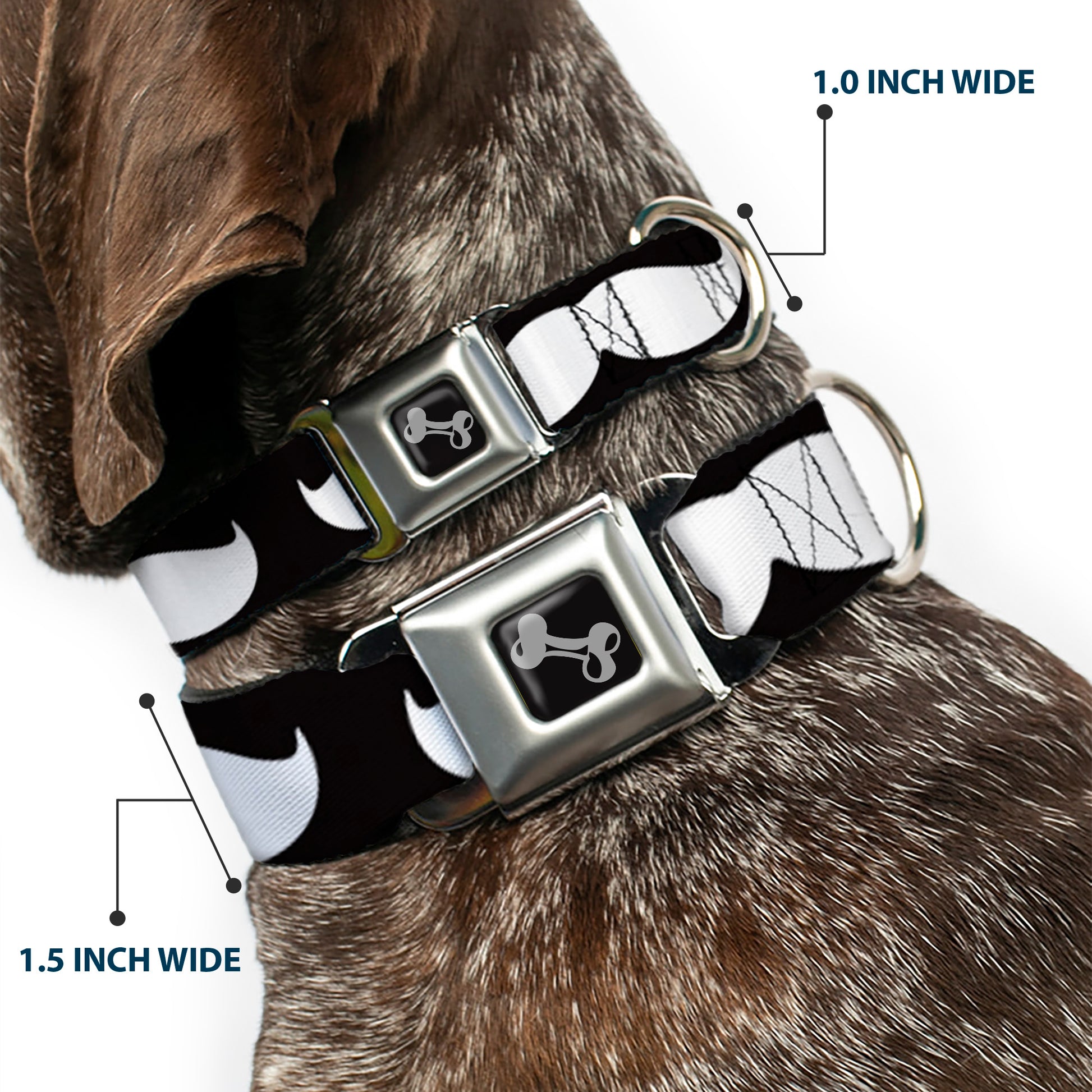 Dog Bone Seatbelt Buckle Collar - Mustache Black/White Seatbelt Buckle Collars Buckle-Down