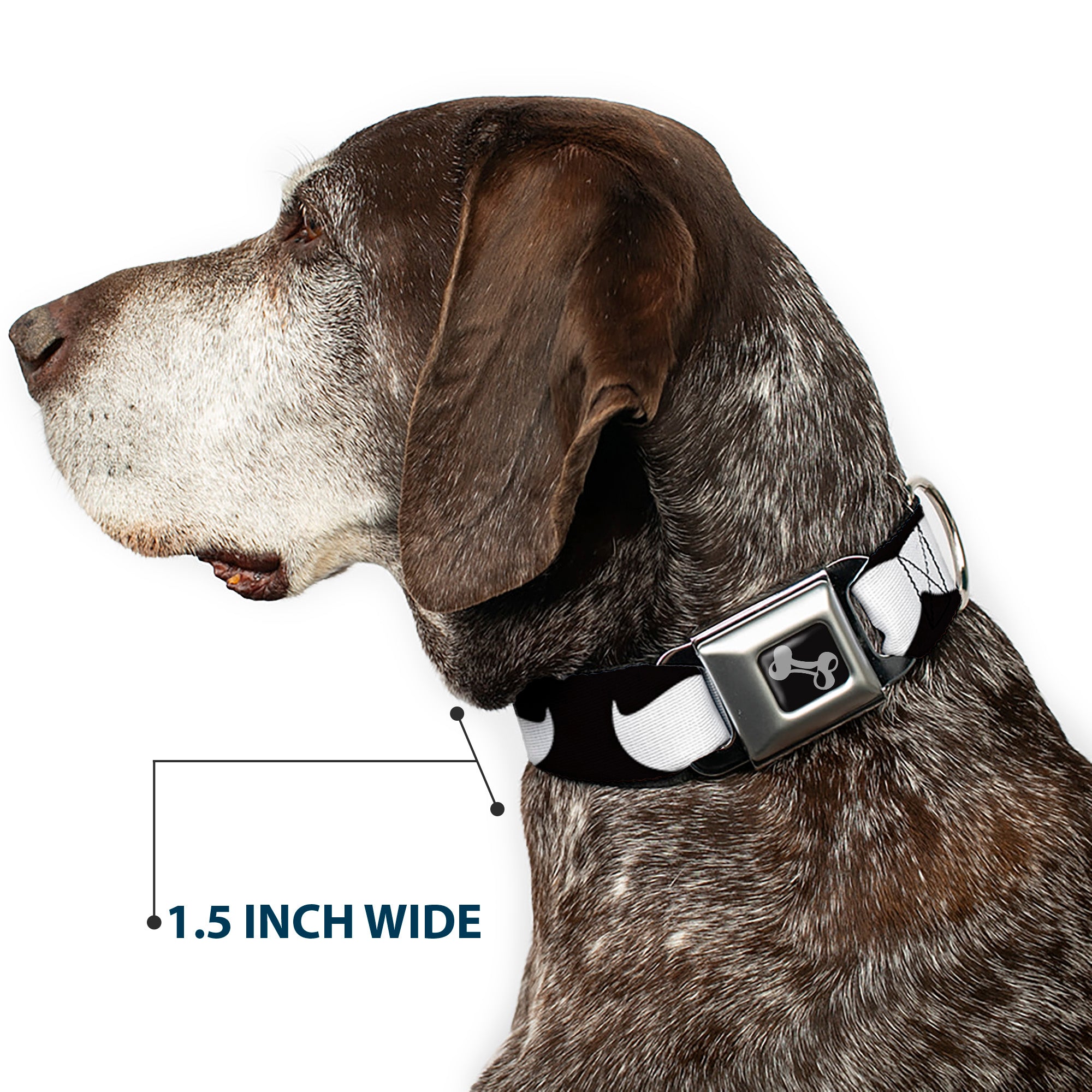 Dog Bone Seatbelt Buckle Collar - Mustache Black/White Seatbelt Buckle Collars Buckle-Down