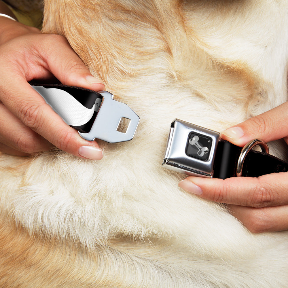 Dog Bone Seatbelt Buckle Collar - Mustache Black/White Seatbelt Buckle Collars Buckle-Down