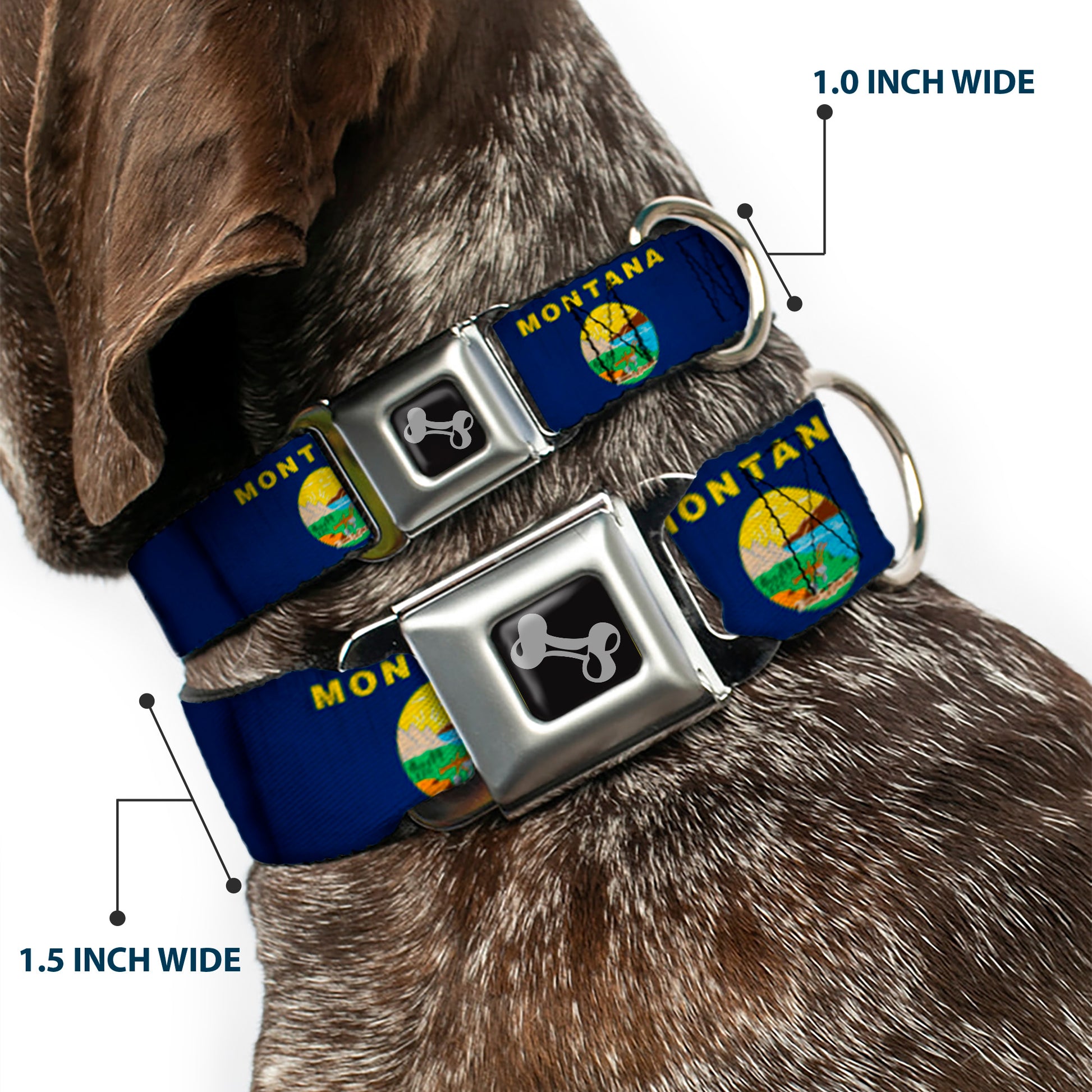Dog Bone Seatbelt Buckle Collar - Montana Flags Seatbelt Buckle Collars Buckle-Down