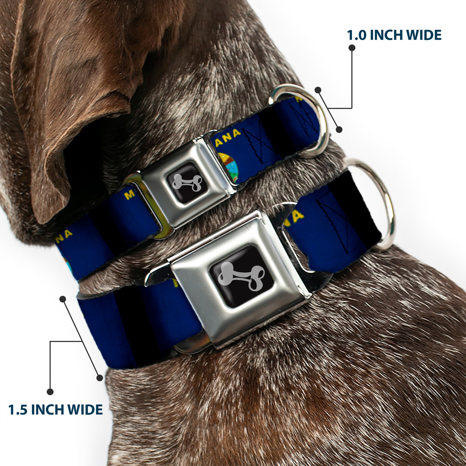 Dog Bone Seatbelt Buckle Collar - Montana Flags2 Seatbelt Buckle Collars Buckle-Down