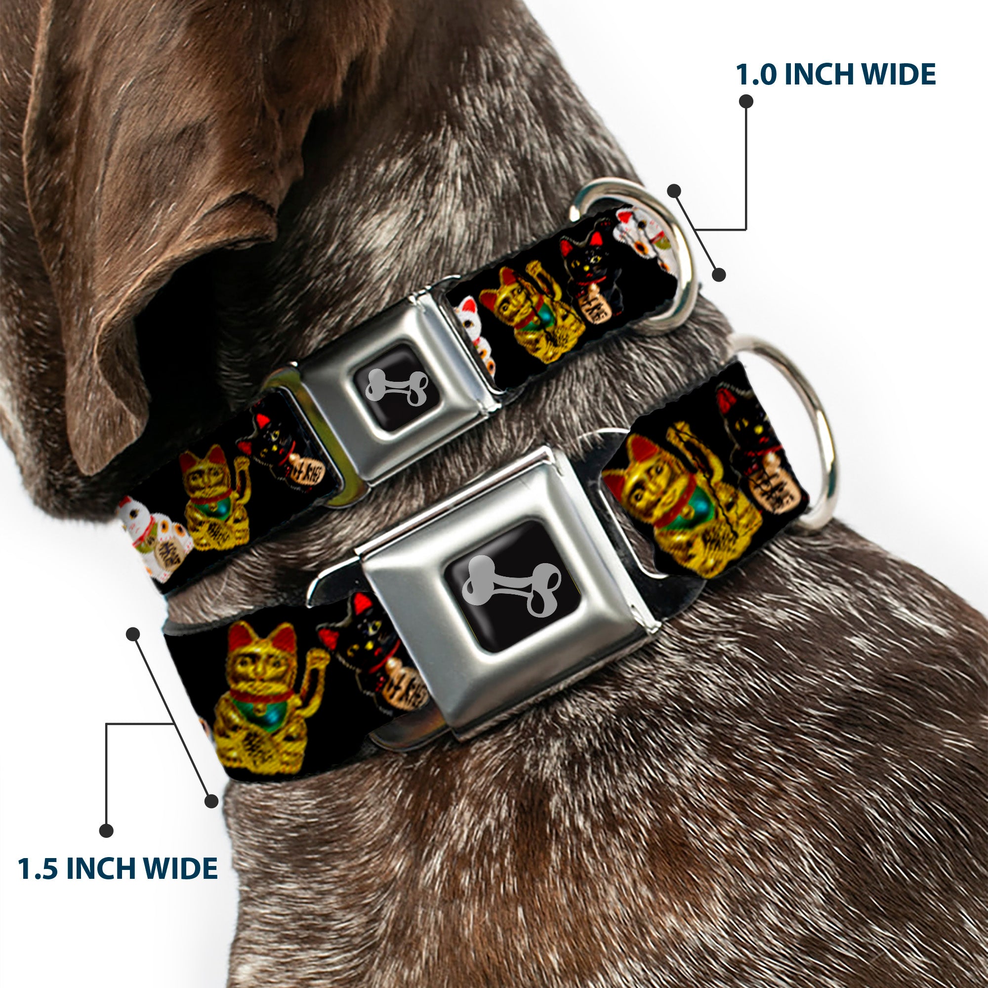 Dog Bone Seatbelt Buckle Collar - Maneki Neko Lucky Cats Gold/Black/White Seatbelt Buckle Collars Buckle-Down