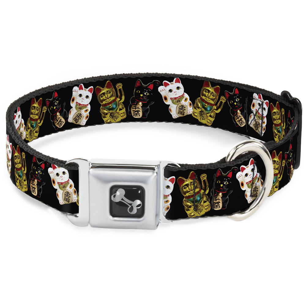 Dog Bone Seatbelt Buckle Collar - Maneki Neko Lucky Cats Gold/Black/White Seatbelt Buckle Collars Buckle-Down