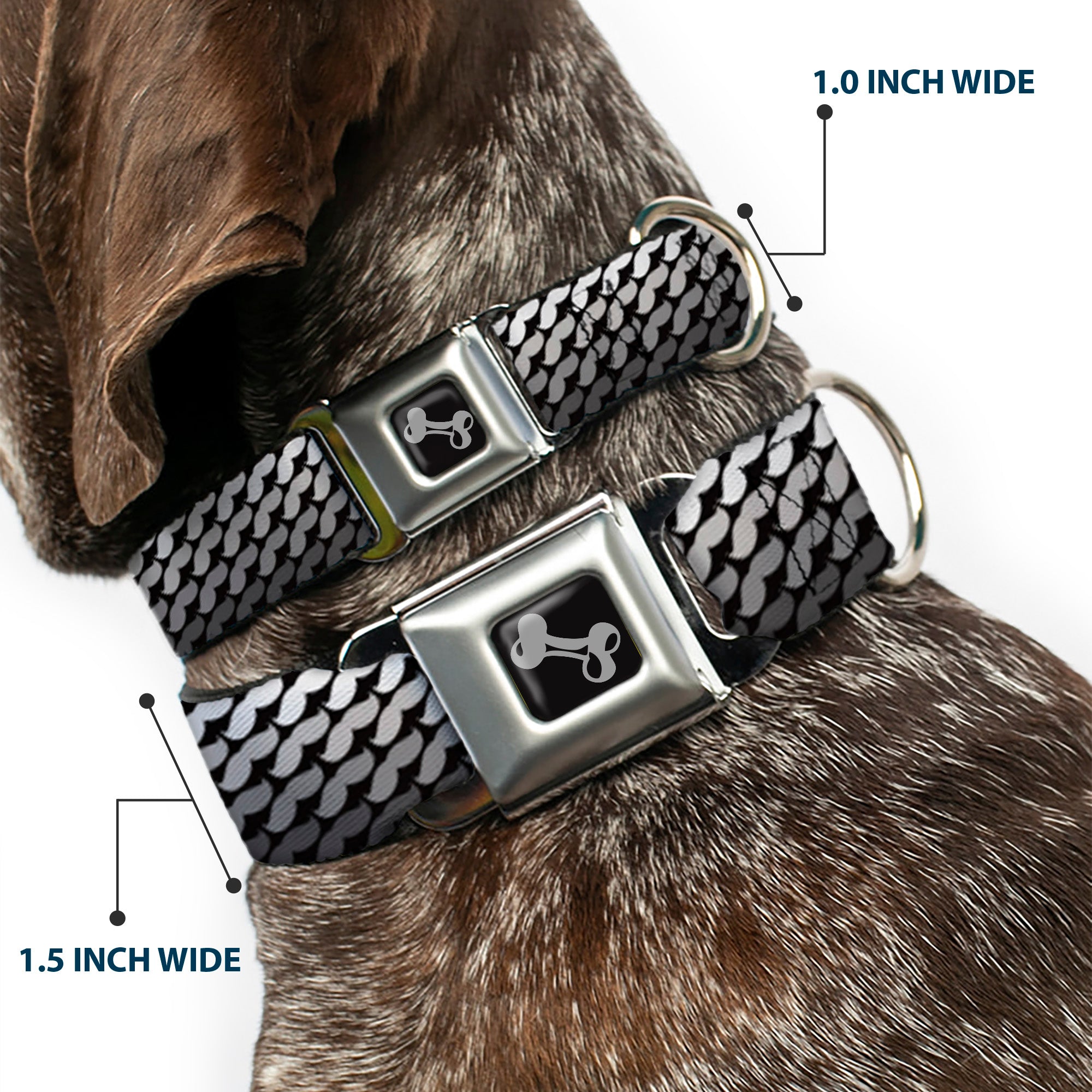 Dog Bone Seatbelt Buckle Collar - Mustache Monogram Black/Grays Seatbelt Buckle Collars Buckle-Down