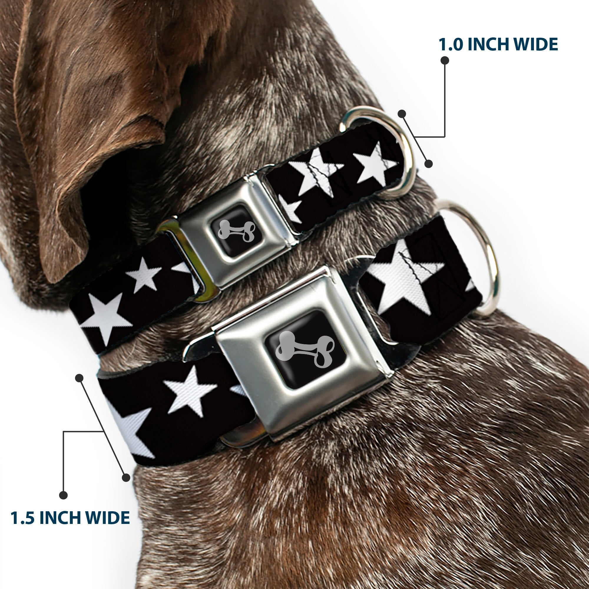 Dog Bone Seatbelt Buckle Collar - Multi Stars Black/White Seatbelt Buckle Collars Buckle-Down