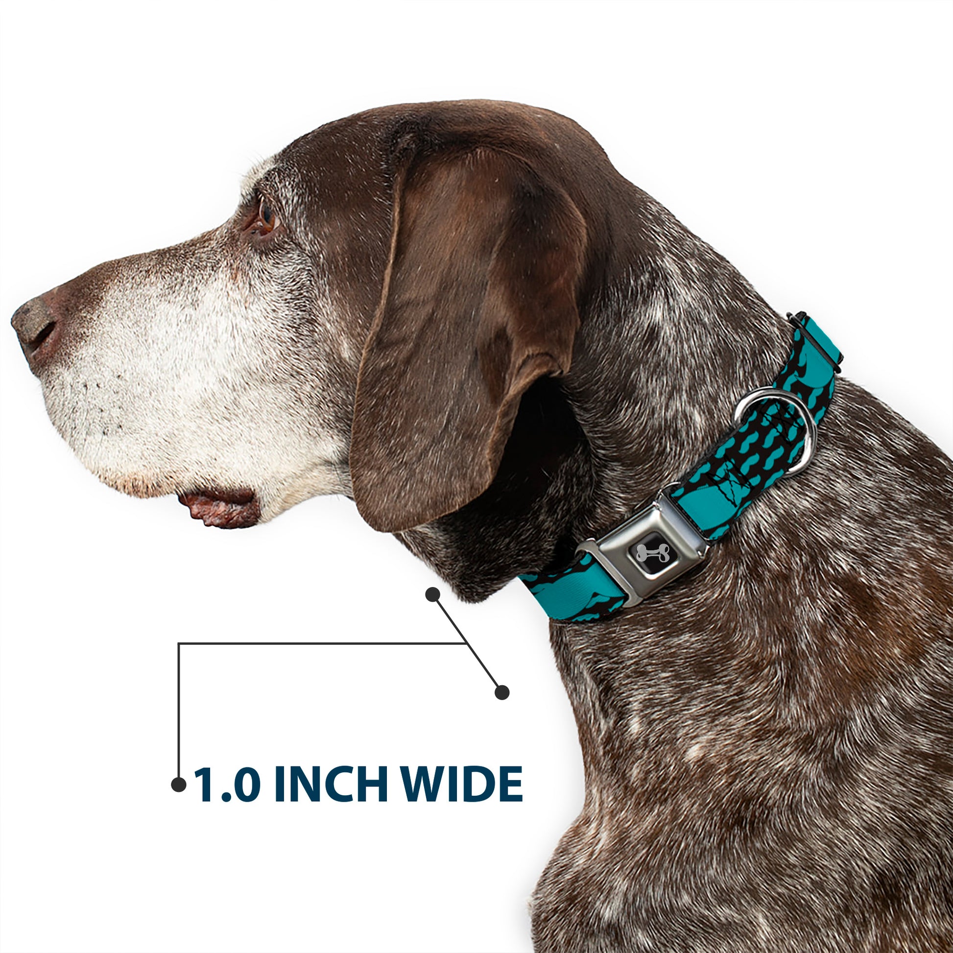 Dog Bone Seatbelt Buckle Collar - Mustaches Mini/Single Repeat Black/Turquoise Seatbelt Buckle Collars Buckle-Down