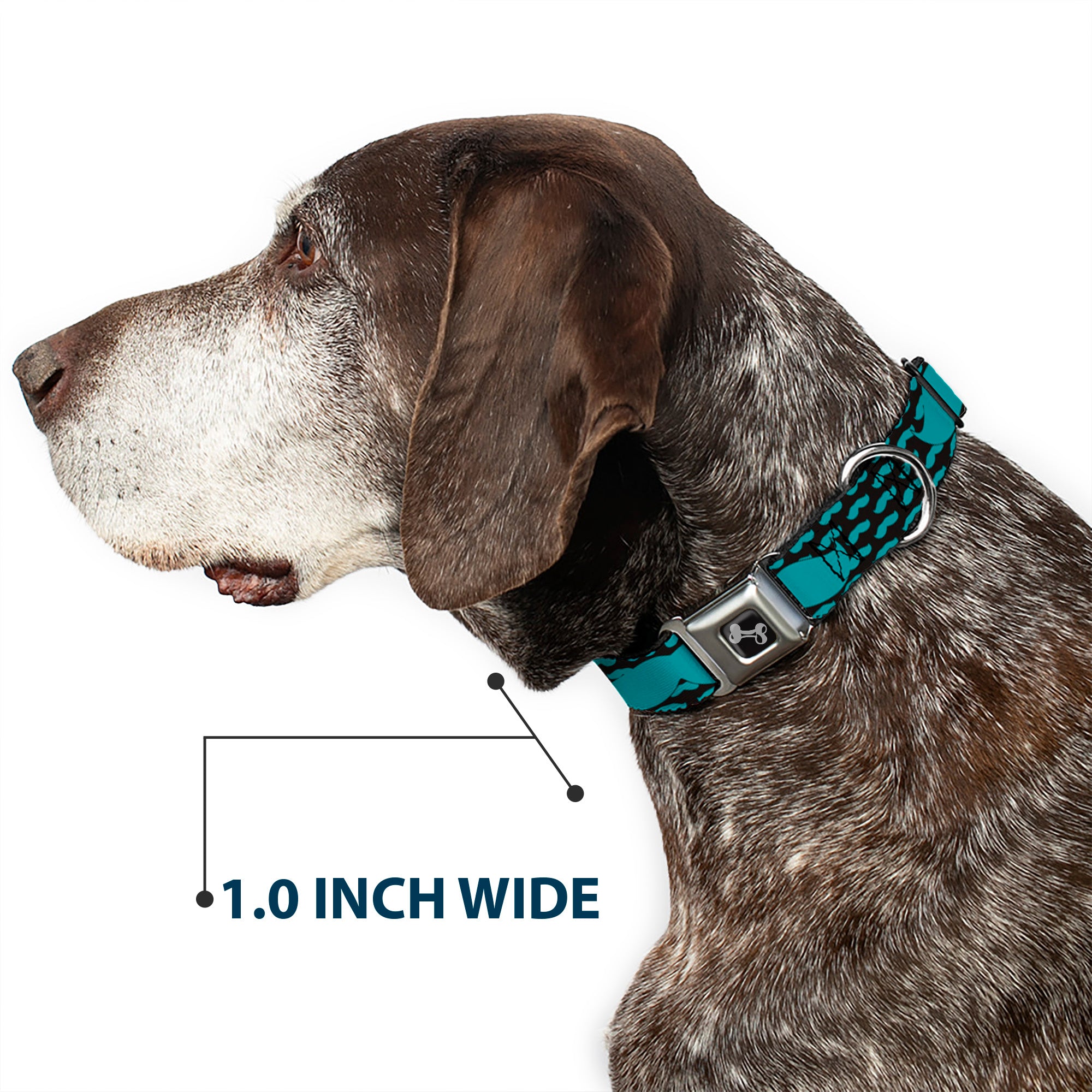Dog Bone Seatbelt Buckle Collar - Mustaches Mini/Single Repeat Black/Turquoise Seatbelt Buckle Collars Buckle-Down