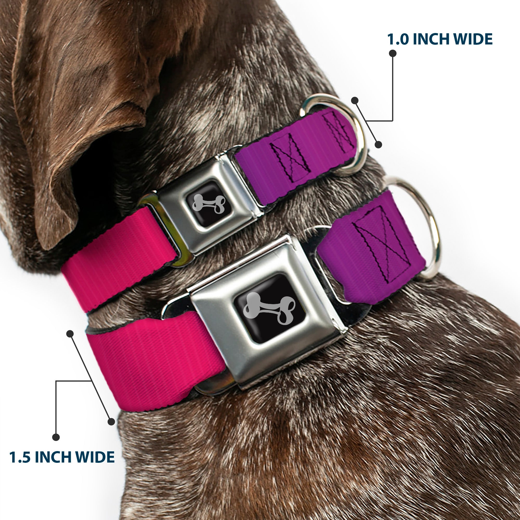 Dog Bone Seatbelt Buckle Collar - Multi Color Blocks Seatbelt Buckle Collars Buckle-Down