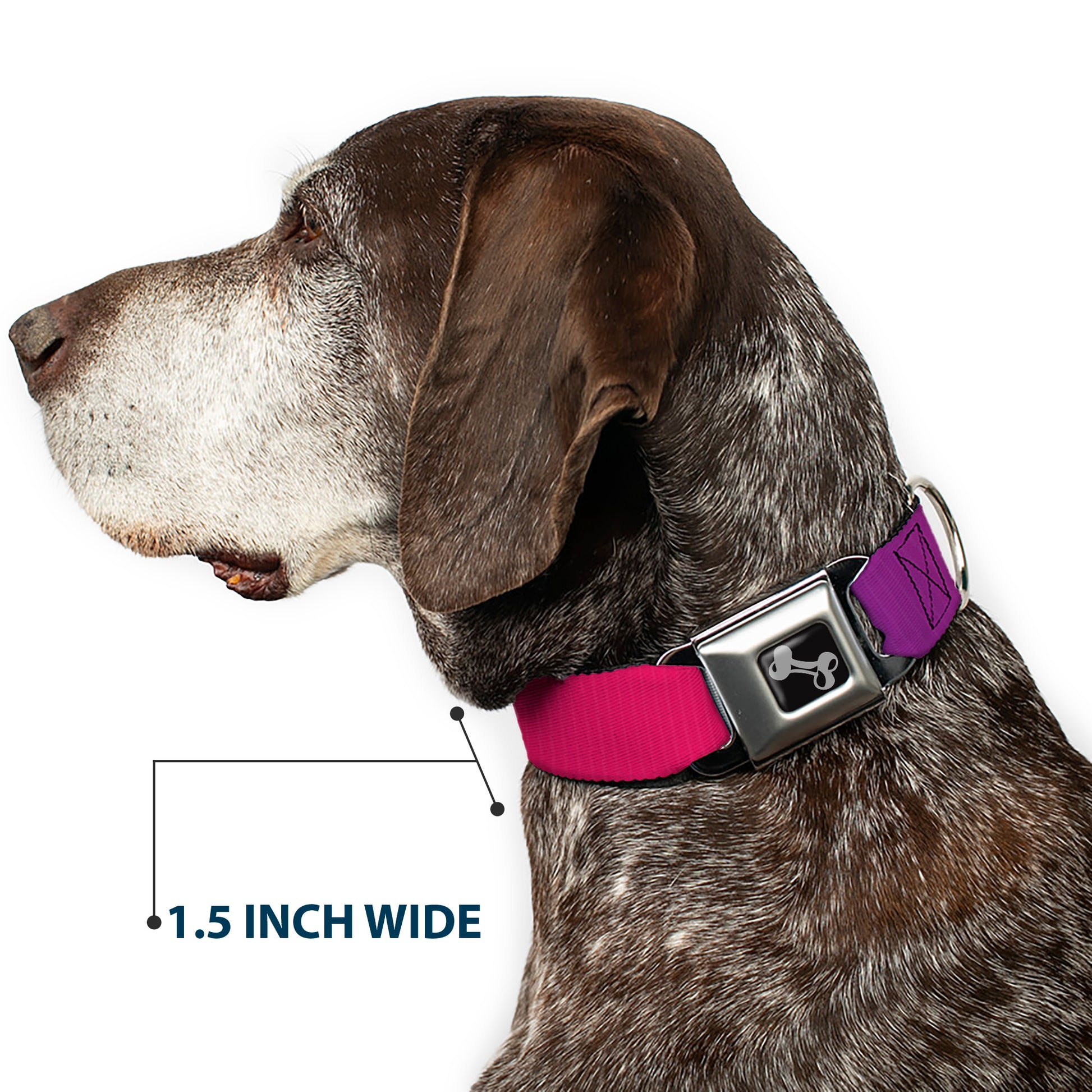 Dog Bone Seatbelt Buckle Collar - Multi Color Blocks Seatbelt Buckle Collars Buckle-Down