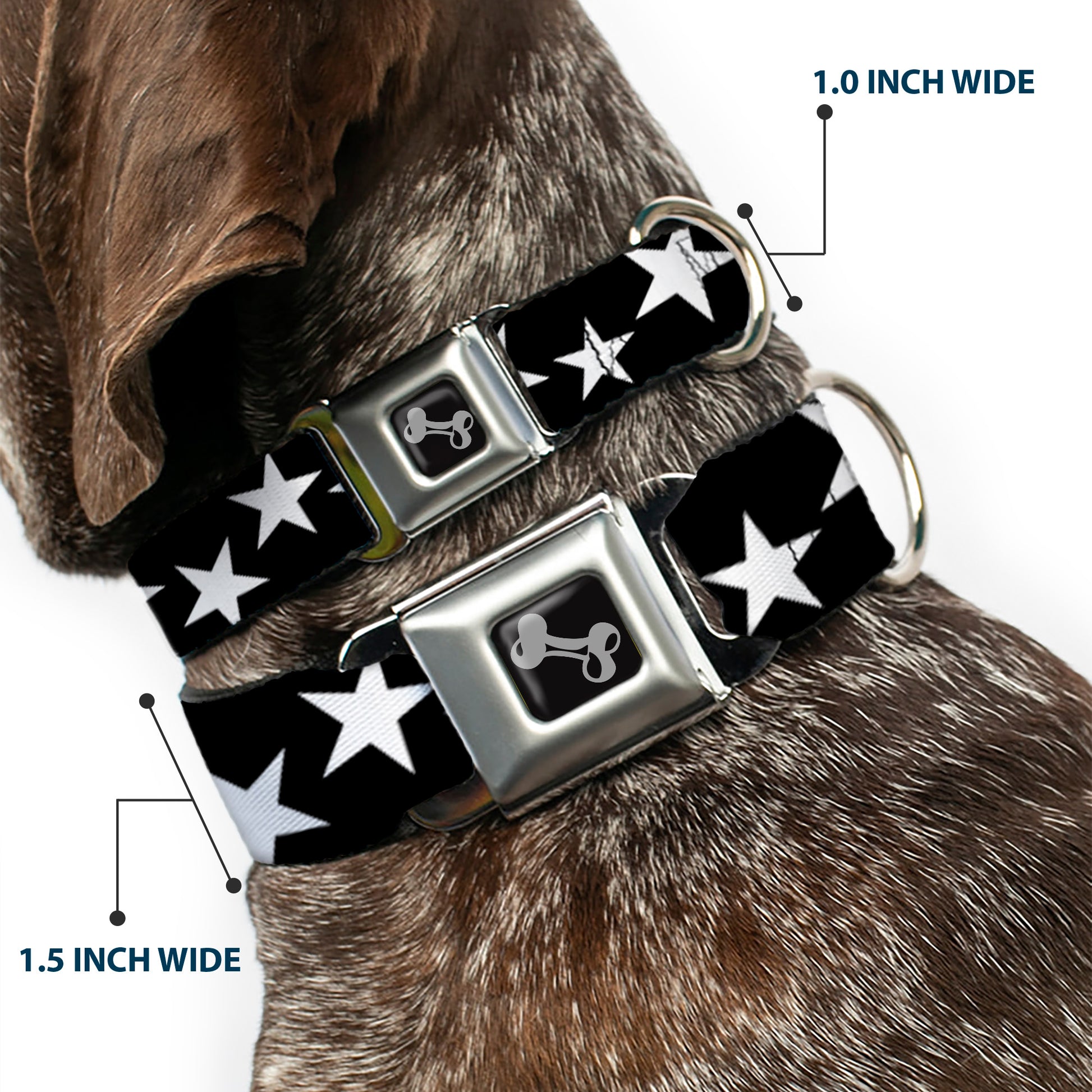 Dog Bone Seatbelt Buckle Collar - Multi Stars Black/White/Black/White Outline Seatbelt Buckle Collars Buckle-Down