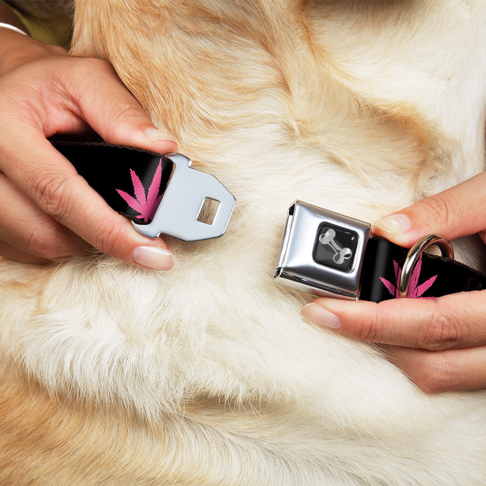 Buckle-Down Seatbelt Buckle Dog Collar - Marijuana Leaf Repeat Black/Pink Seatbelt Buckle Collars Buckle-Down