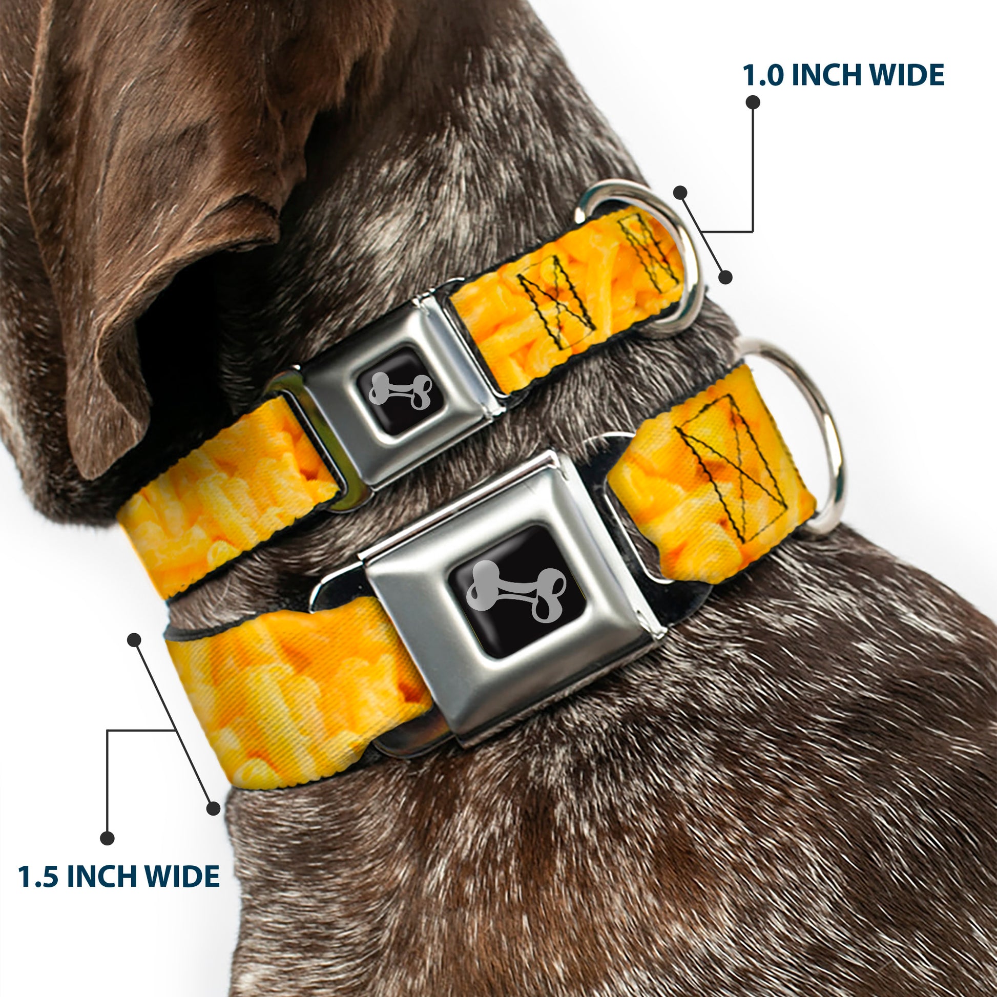 Dog Bone Seatbelt Buckle Collar - Mac & Cheese Vivid Seatbelt Buckle Collars Buckle-Down