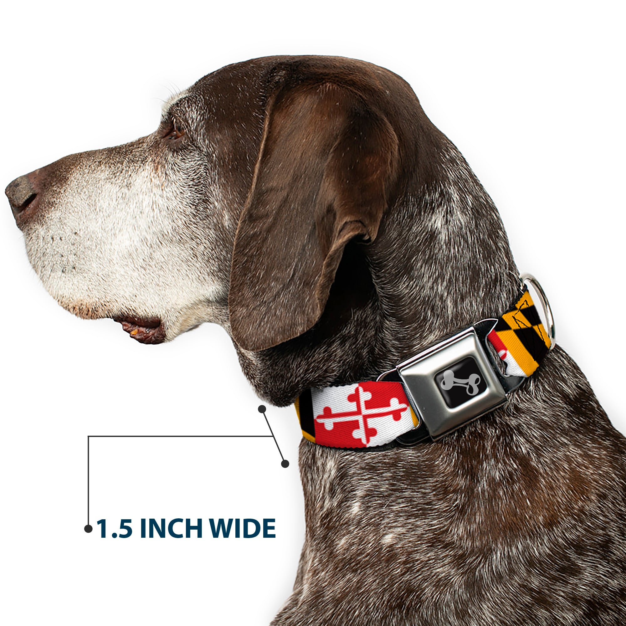 Dog Bone Seatbelt Buckle Collar - Maryland Flags Seatbelt Buckle Collars Buckle-Down