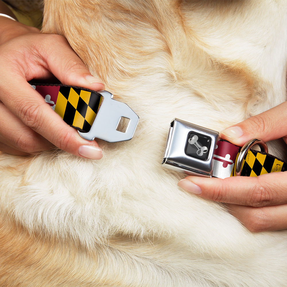 Dog Bone Seatbelt Buckle Collar - Maryland Flags Seatbelt Buckle Collars Buckle-Down