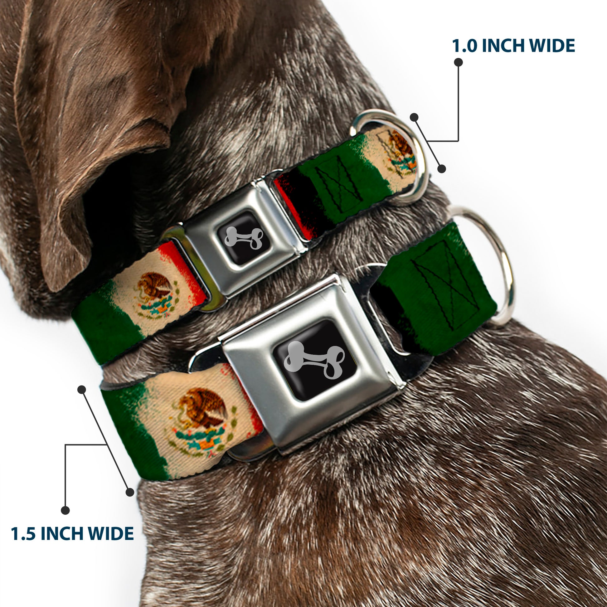 Dog Bone Seatbelt Buckle Collar - Mexico Flag Distressed Painting Seatbelt Buckle Collars Buckle-Down