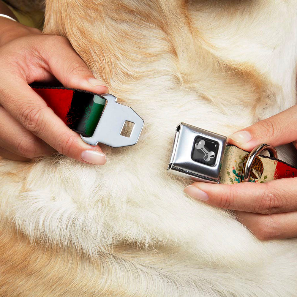 Dog Bone Seatbelt Buckle Collar - Mexico Flag Distressed Painting Seatbelt Buckle Collars Buckle-Down
