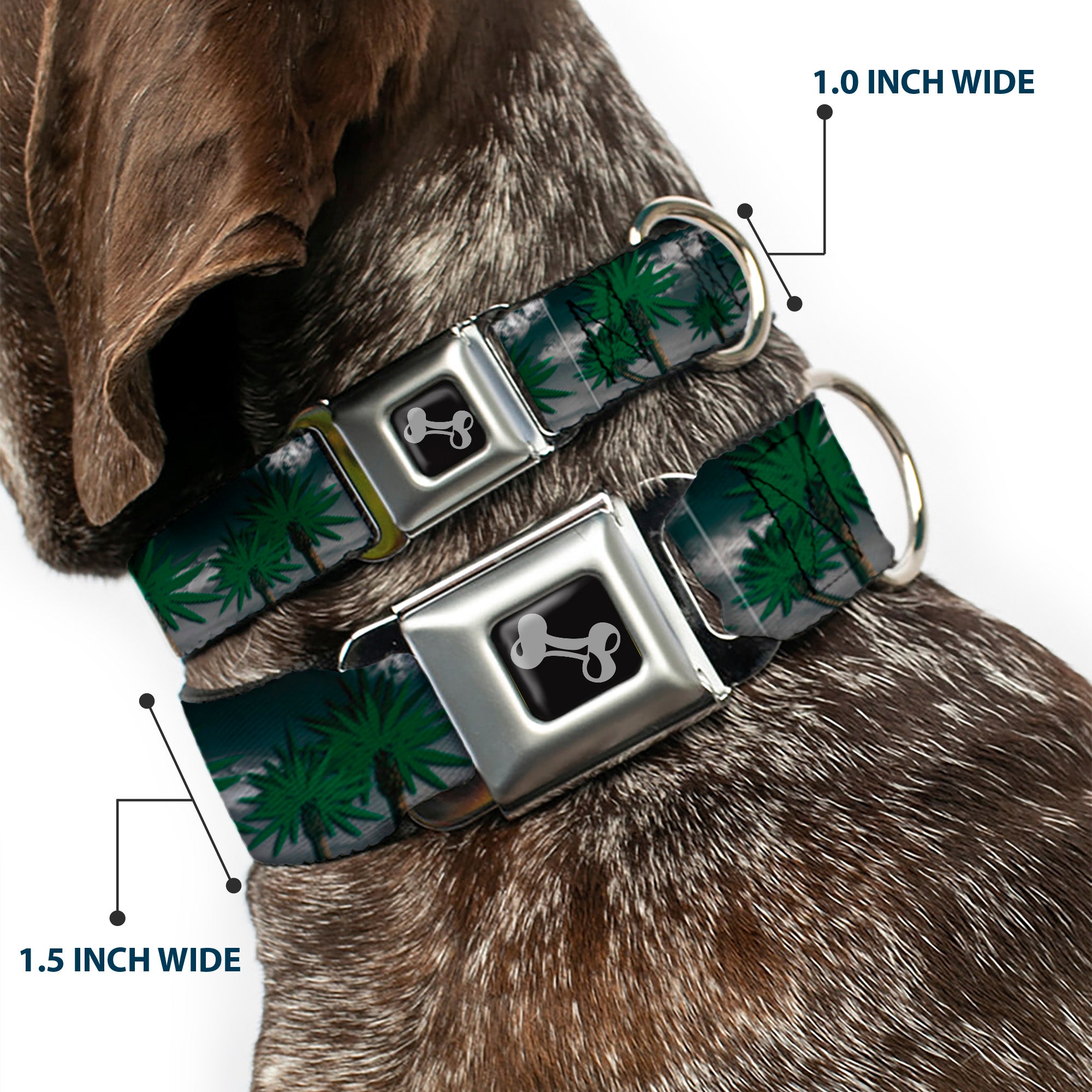 Buckle-Down Seatbelt Buckle Dog Collar - Marijuana Palm Trees/Clouds Seatbelt Buckle Collars Buckle-Down