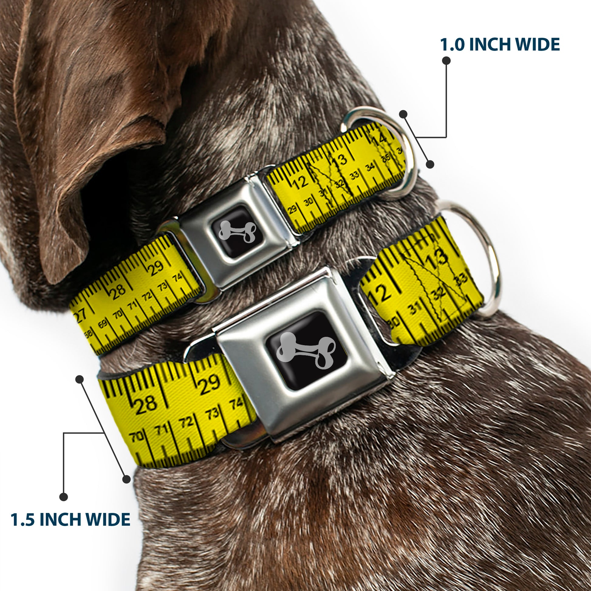 Dog Bone Black/Silver Seatbelt Buckle Collar - Measuring Tape Inches + Centimeters Seatbelt Buckle Collars Buckle-Down