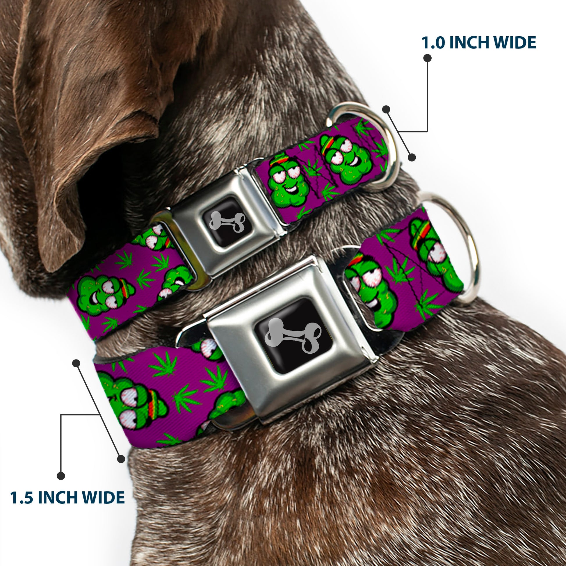 Buckle-Down Seatbelt Buckle Dog Collar - Marijuana Nugs/Leaves Cartoon Purple/Green Seatbelt Buckle Collars Buckle-Down