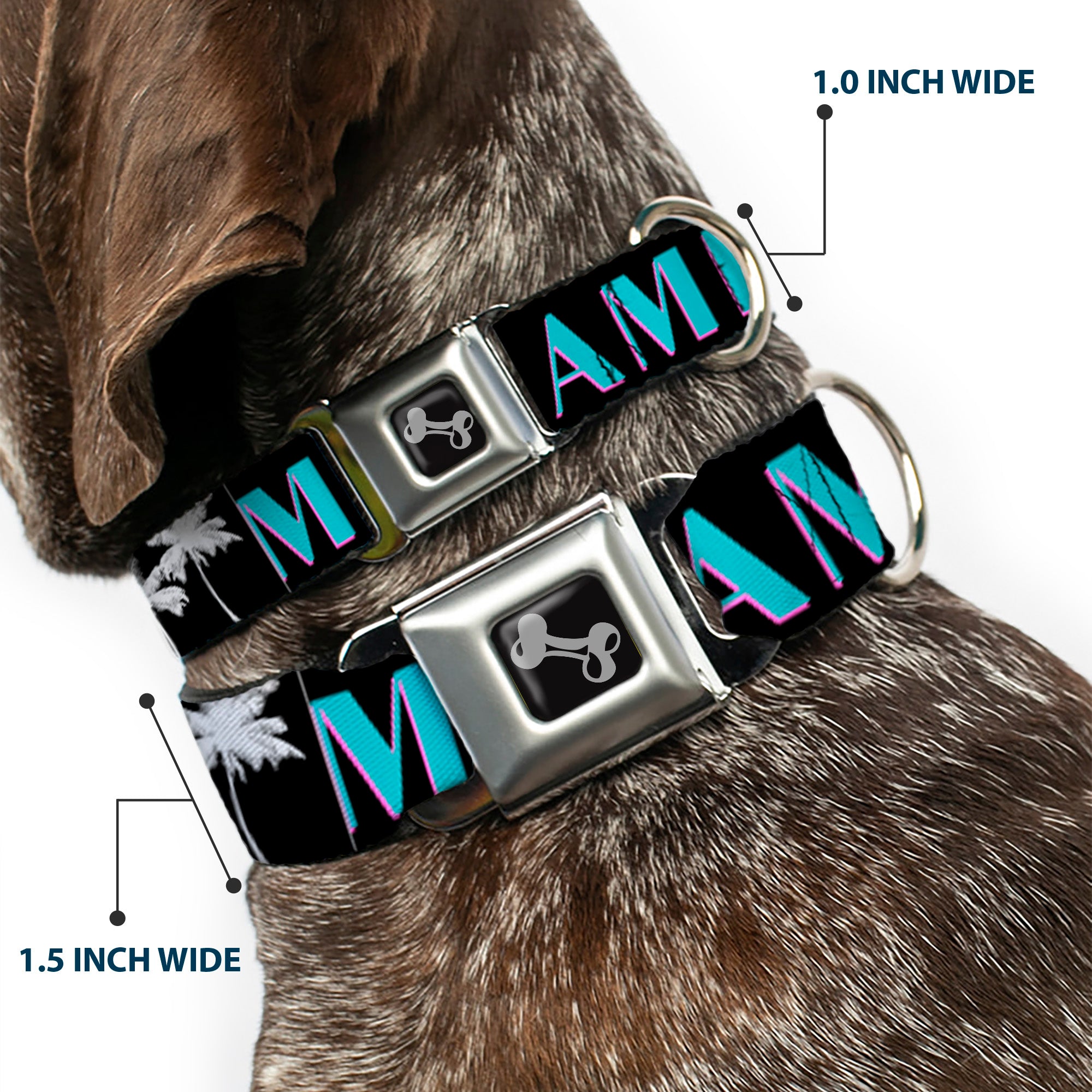 Dog Bone Seatbelt Buckle Collar - MIAMI/Palm Trees Black/White/Pink//Teal Seatbelt Buckle Collars Buckle-Down