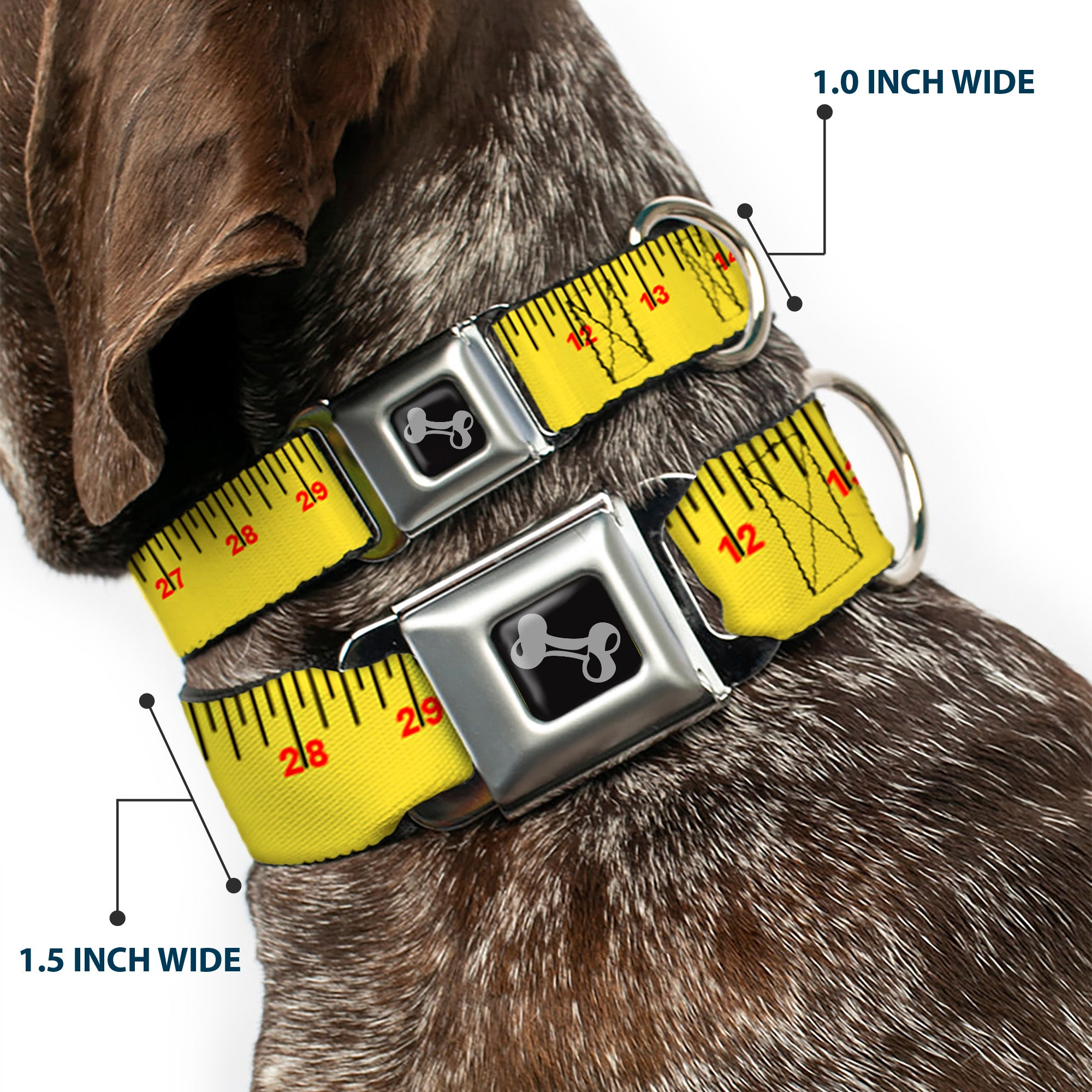 Dog Bone Black/Silver Seatbelt Buckle Collar - Measuring Tape Yellow/Black/Red Seatbelt Buckle Collars Buckle-Down