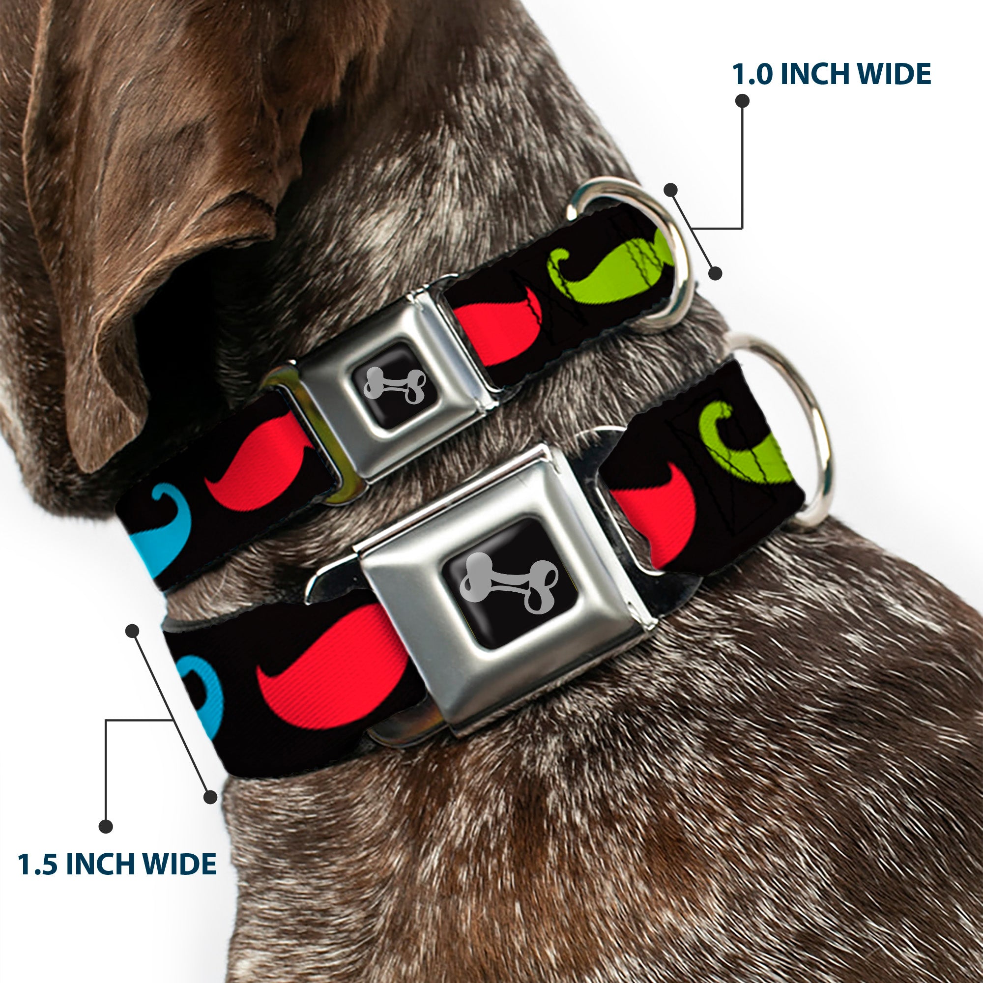 Dog Bone Seatbelt Buckle Collar - Mustaches-4 Black/Multi Color Seatbelt Buckle Collars Buckle-Down
