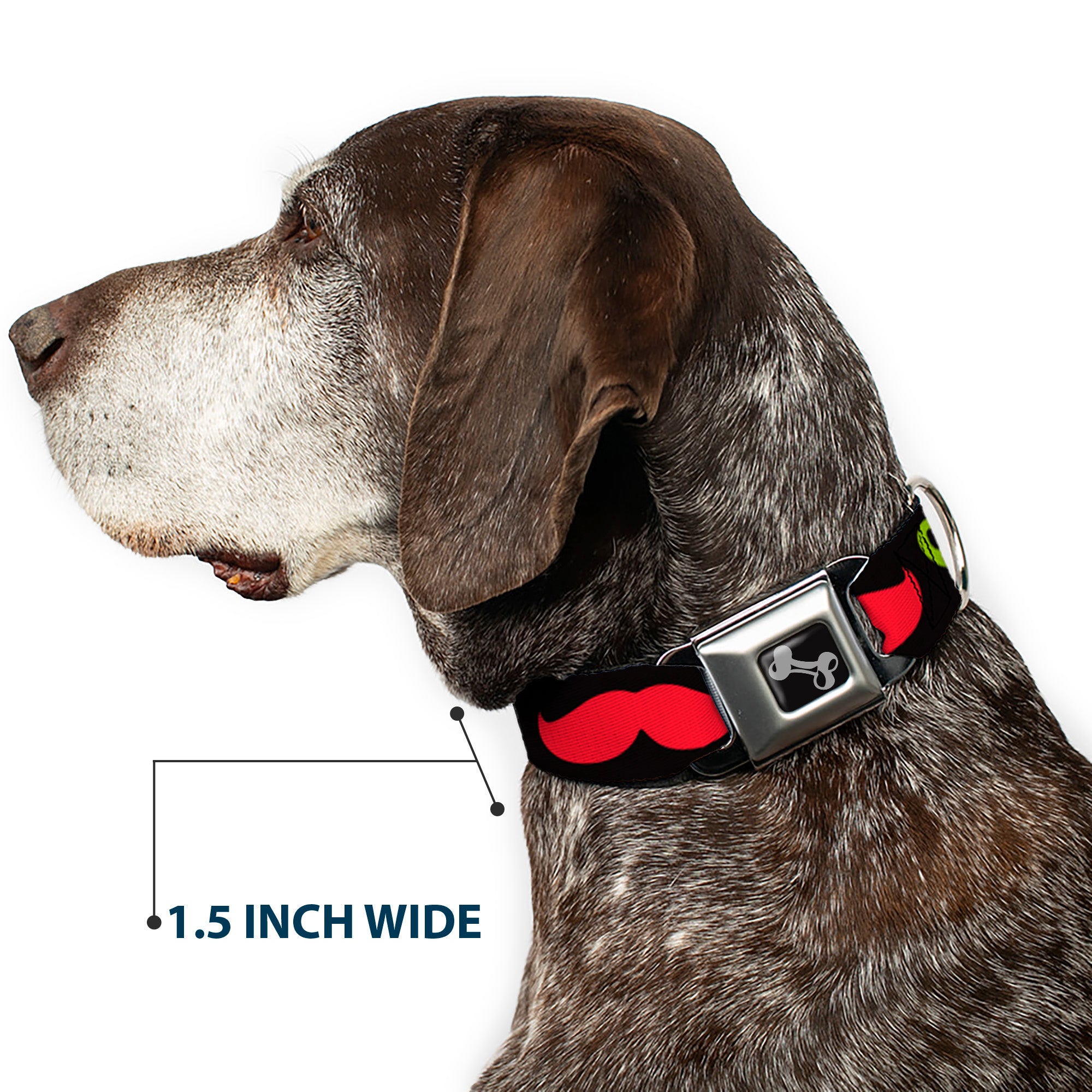 Dog Bone Seatbelt Buckle Collar - Mustaches-4 Black/Multi Color Seatbelt Buckle Collars Buckle-Down
