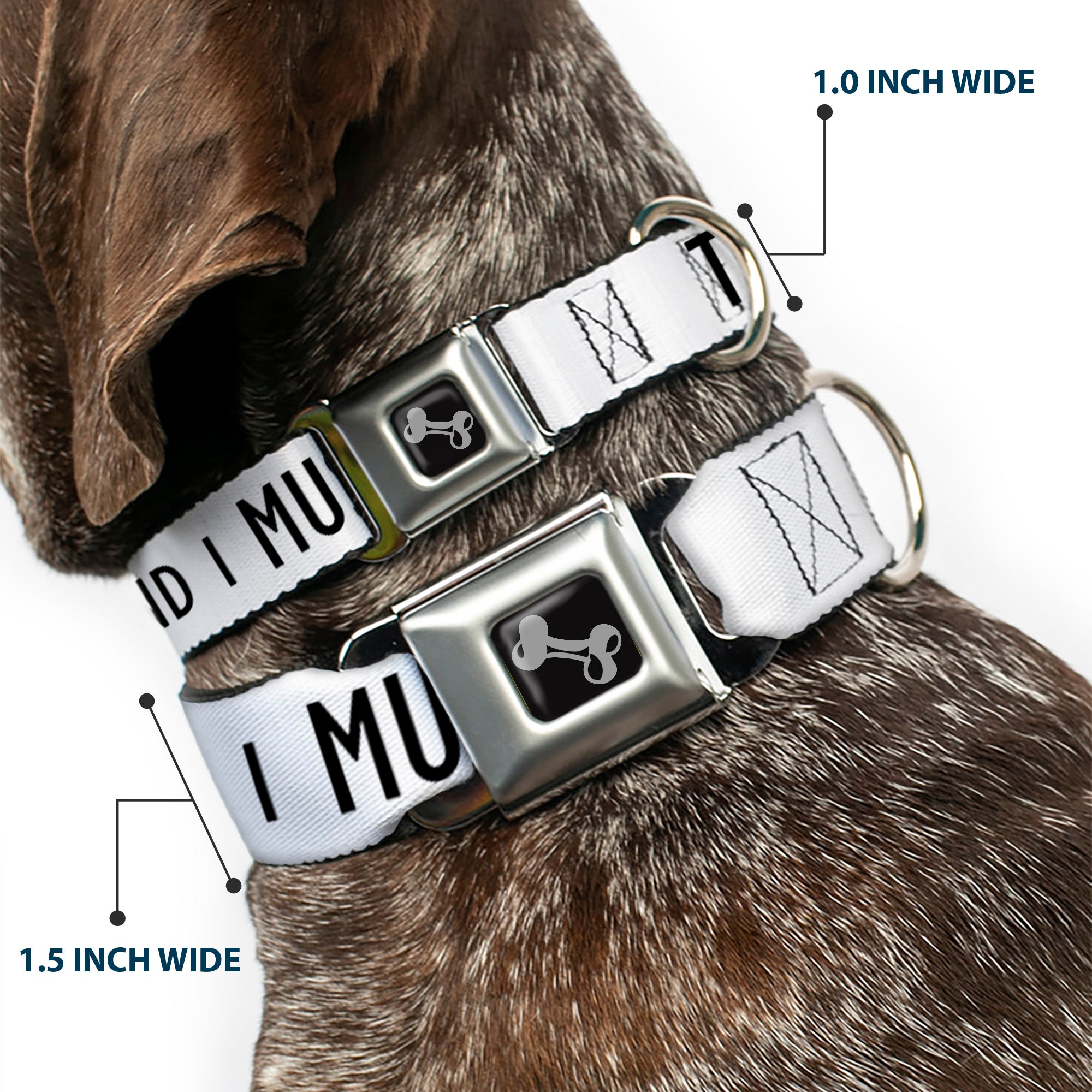 Dog Bone Black/Silver Seatbelt Buckle Collar - THE MOUNTAINS ARE CALLING AND I MUST GO/Mountains Outline White/Black Seatbelt Buckle Collars Buckle-Down