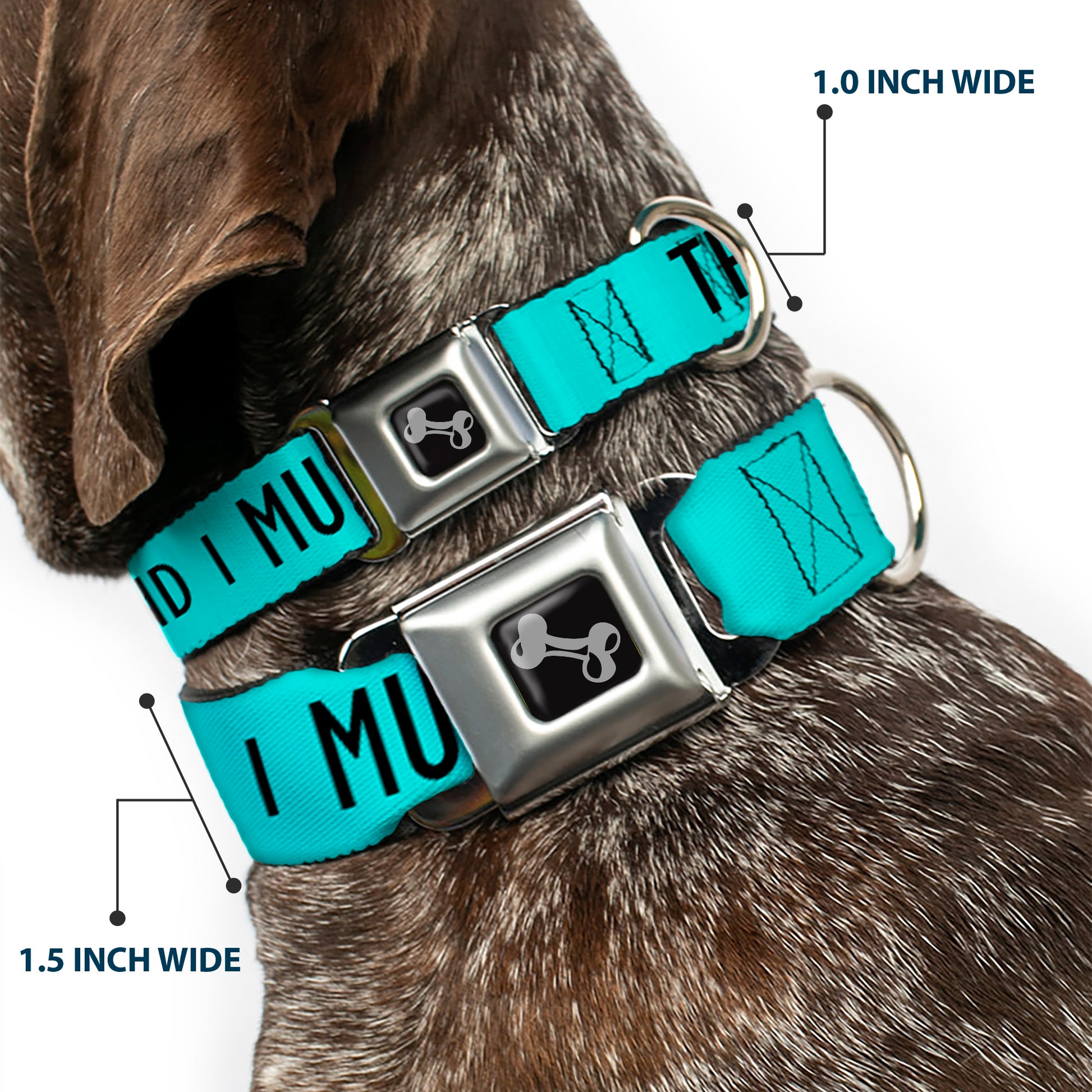 Dog Bone Black/Silver Seatbelt Buckle Collar - THE MOUNTAINS ARE CALLING AND I MUST GO/Mountains Outline2 Teal/White/Black Seatbelt Buckle Collars Buckle-Down