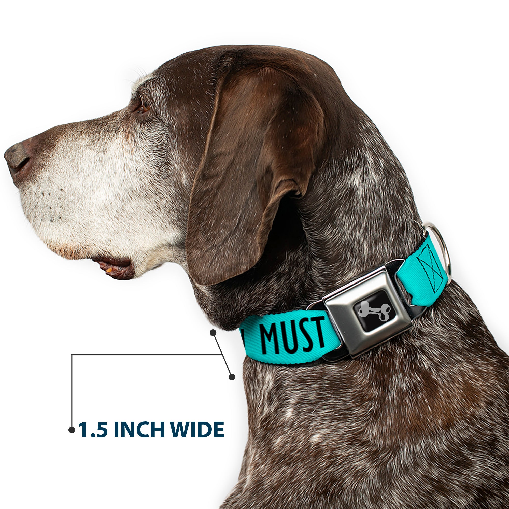 Dog Bone Black/Silver Seatbelt Buckle Collar - THE MOUNTAINS ARE CALLING AND I MUST GO/Mountains Outline2 Teal/White/Black Seatbelt Buckle Collars Buckle-Down