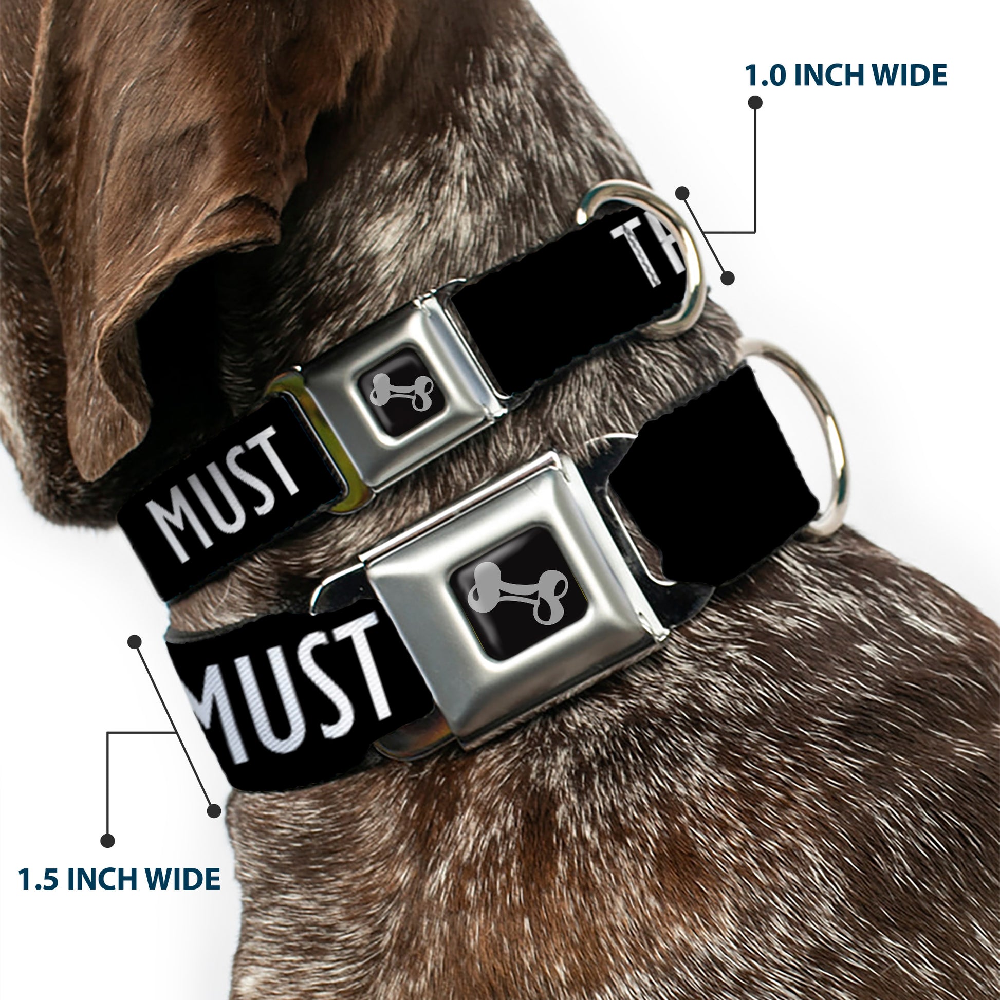 Dog Bone Black/Silver Seatbelt Buckle Collar - THE MOUNTAINS ARE CALLING AND I MUST GO/Mountains Outline3 Black/Gray/White Seatbelt Buckle Collars Buckle-Down